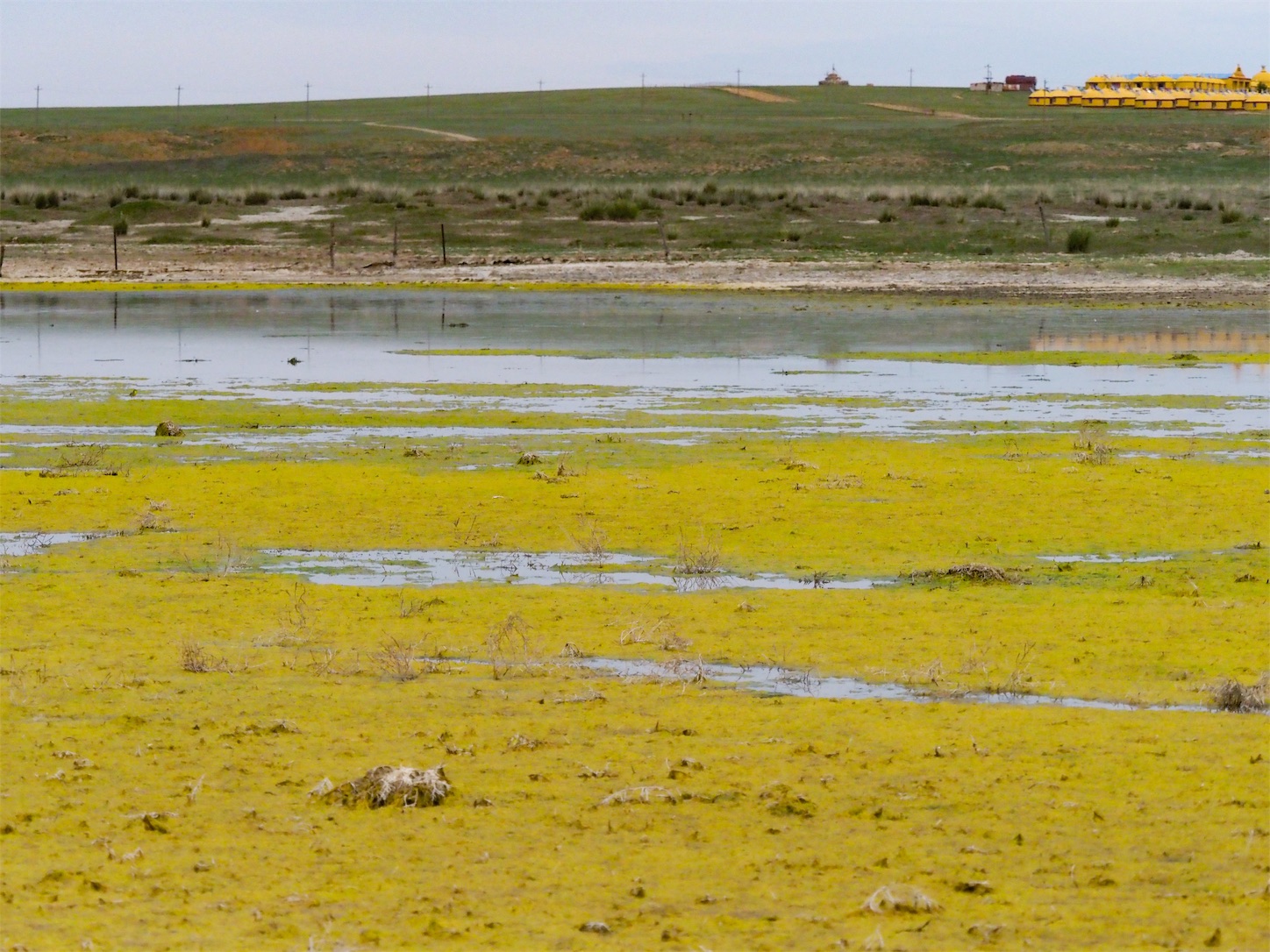 f:id:shan1tian2:20190710151556j:image