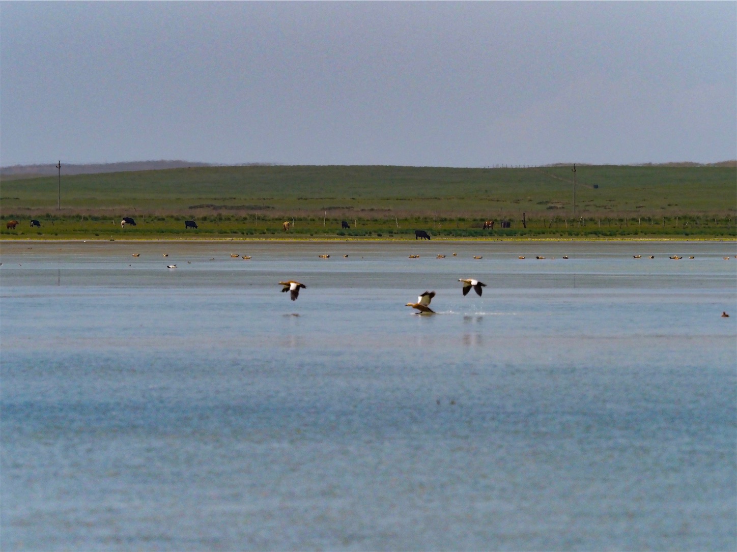 f:id:shan1tian2:20190710151715j:image