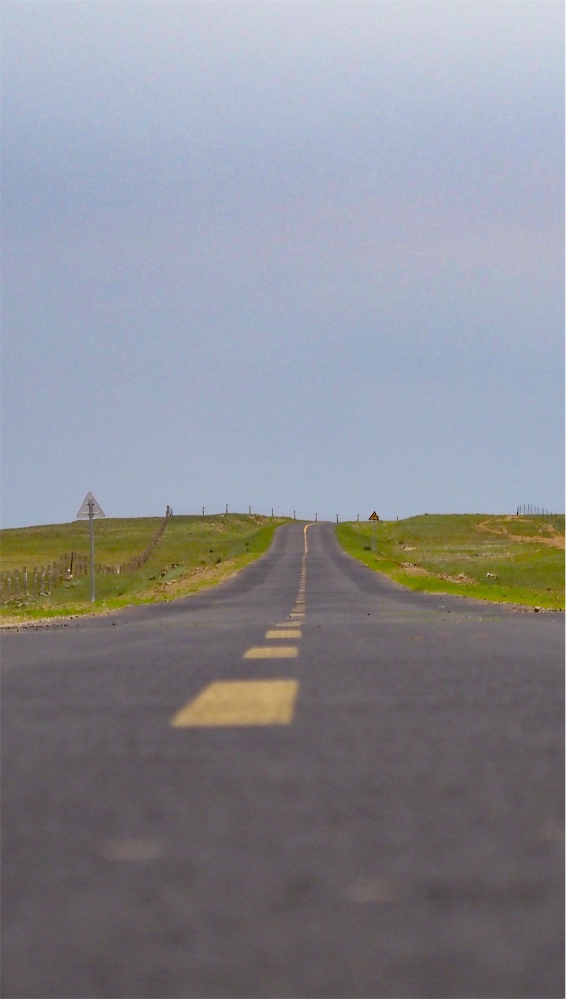 草原の風景,道路