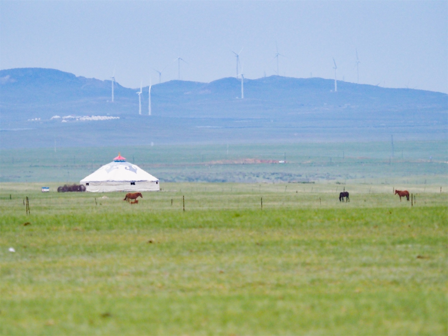 草原の風景,大草原