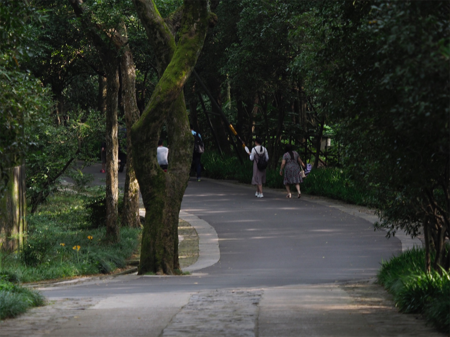 f:id:shan1tian2:20190723165426j:image f:id:shan1tian2:20190723165426j:image