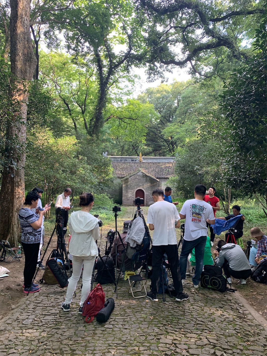 f:id:shan1tian2:20190723165553j:image f:id:shan1tian2:20190723165553j:image