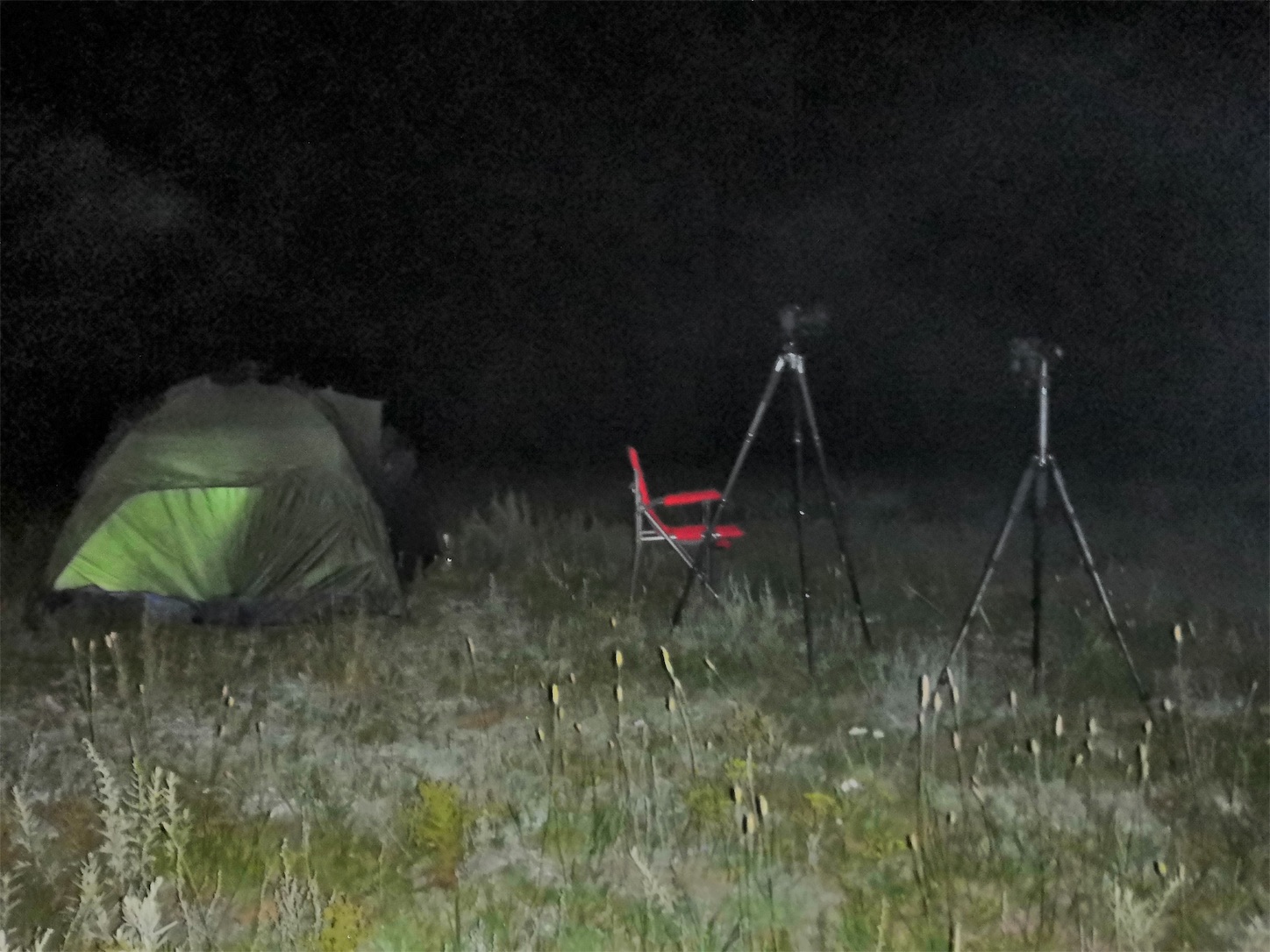 f:id:shan1tian2:20190807081459j:image シリンゴル草原の星空