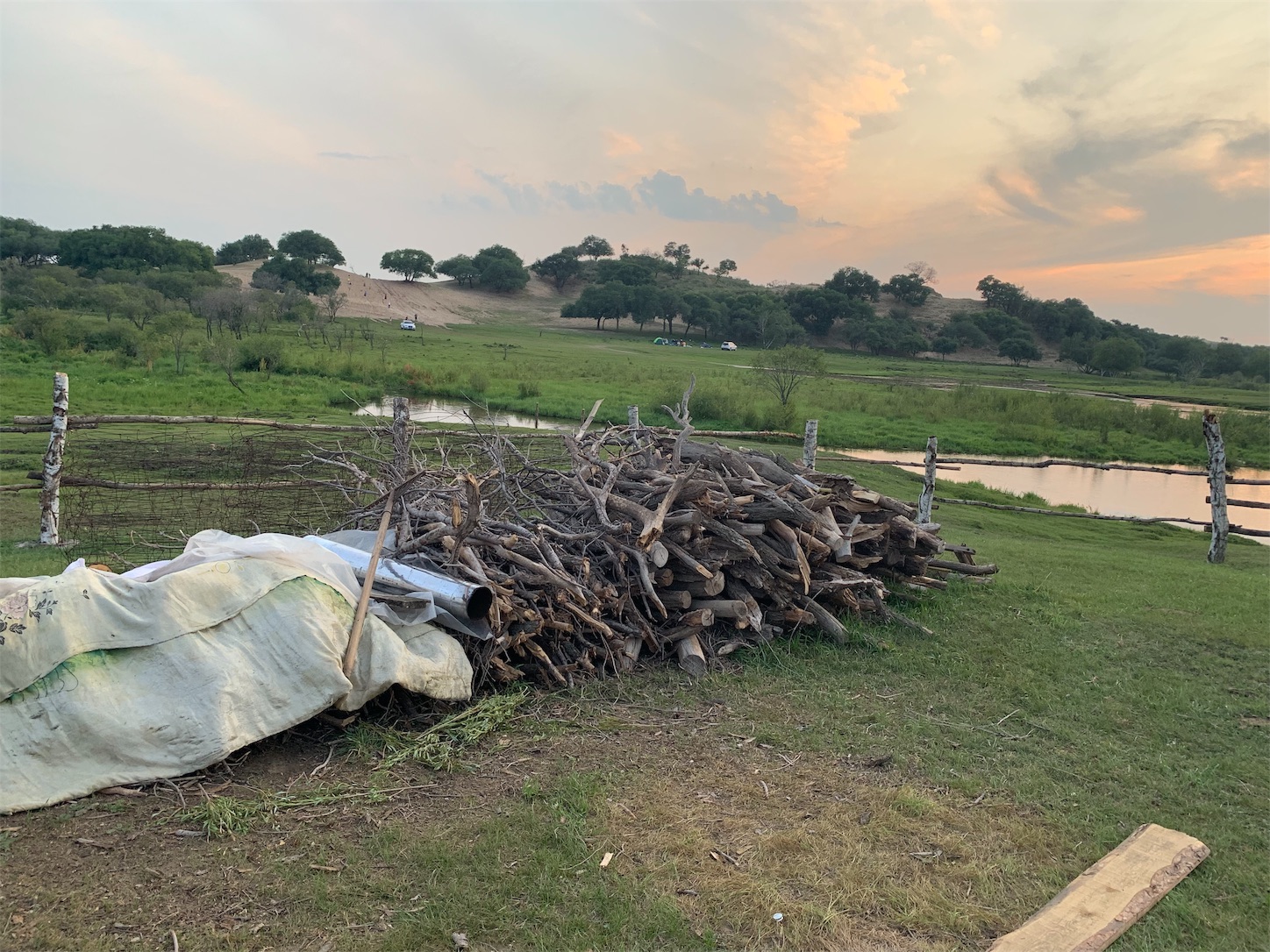 f:id:shan1tian2:20190811145349j:image