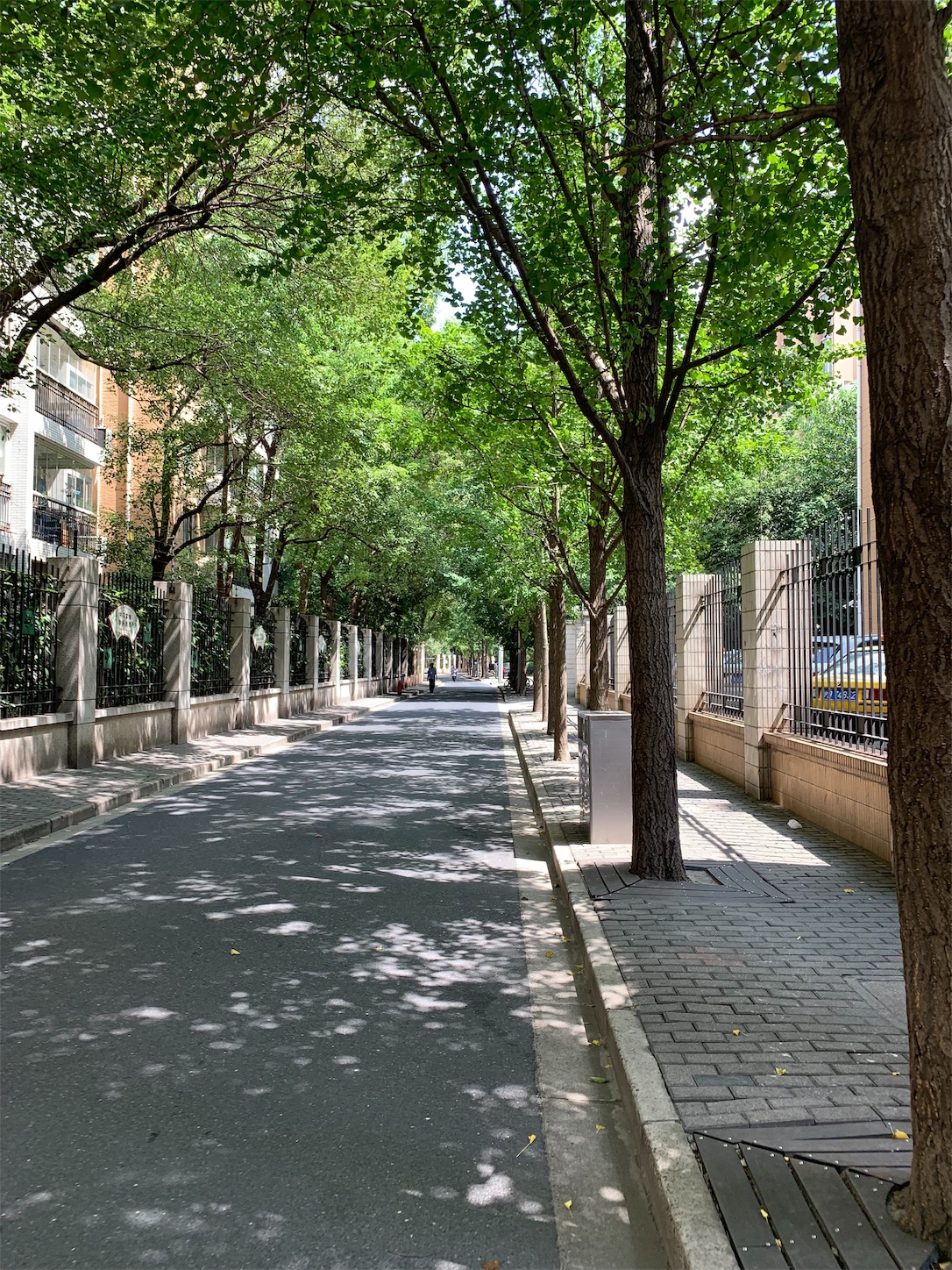 f:id:shan1tian2:20190917154054j:image f:id:shan1tian2:20190917154054j:image