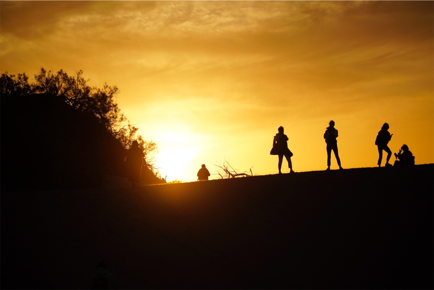 胡楊怪树林の夕焼け・額済納旗