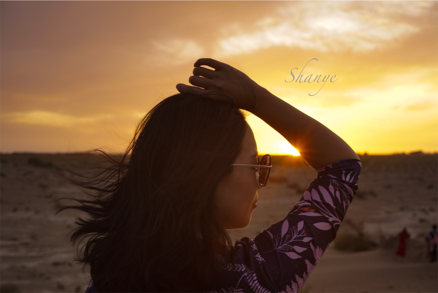 胡楊怪树林の夕焼け・額済納旗,夕日のポートレート