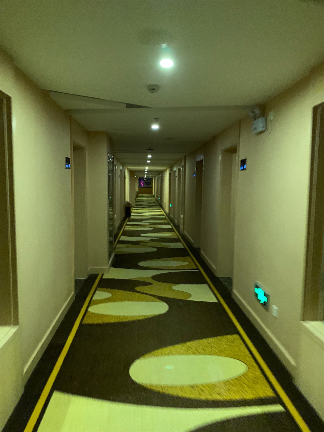 f:id:shan1tian2:20191022075356j:image