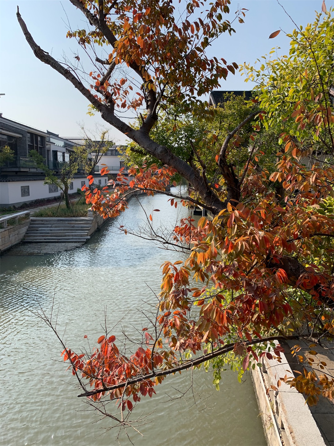 f:id:shan1tian2:20191113094200j:image