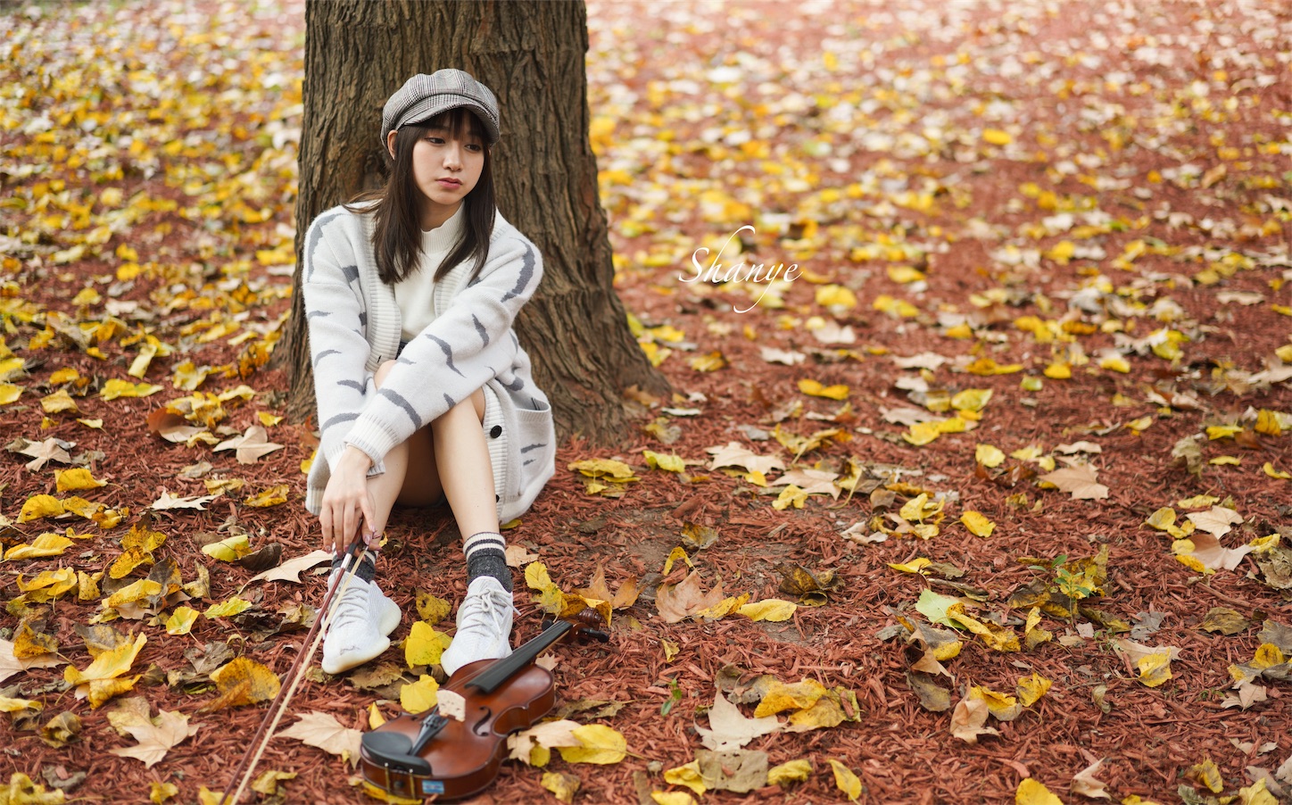 f:id:shan1tian2:20191125164155j:image