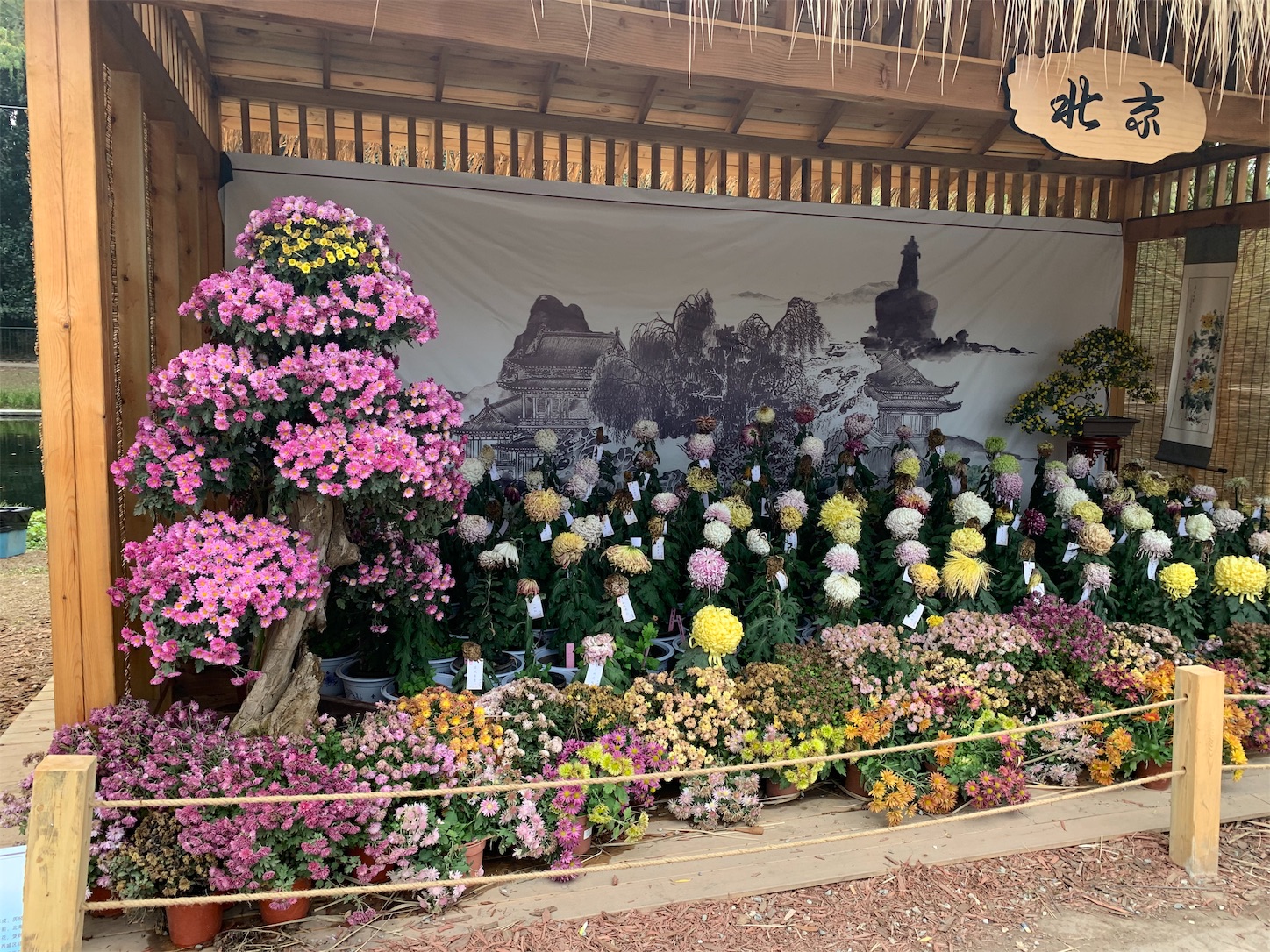 f:id:shan1tian2:20191126124848j:image