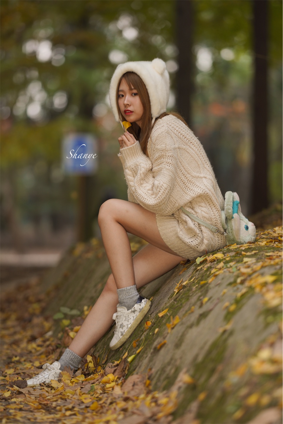 f:id:shan1tian2:20191126125806j:image