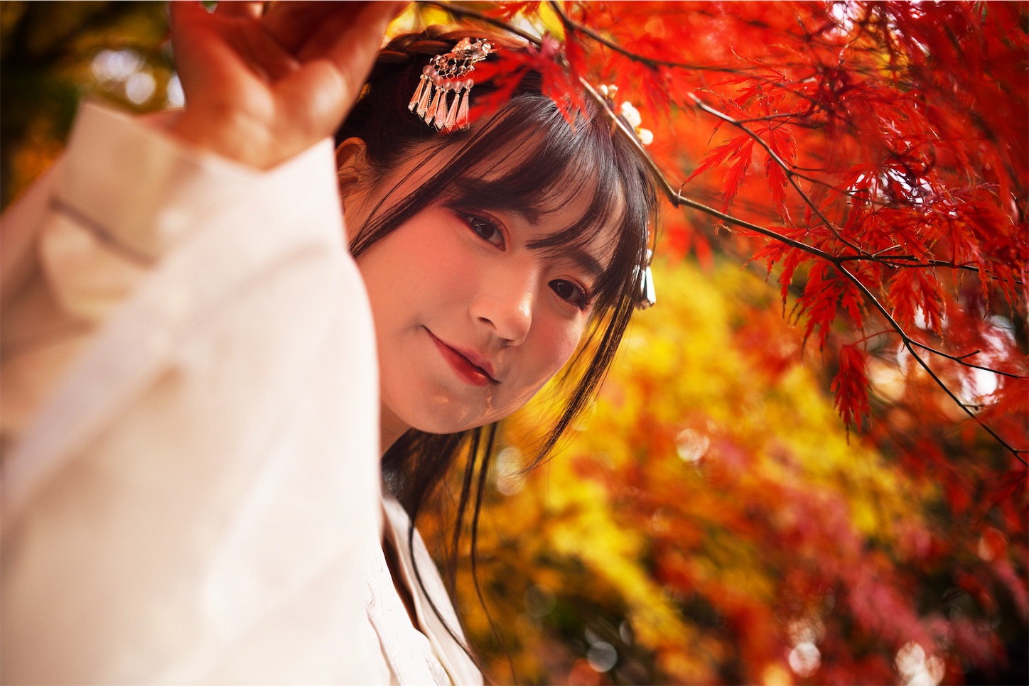 f:id:shan1tian2:20191208220811j:image