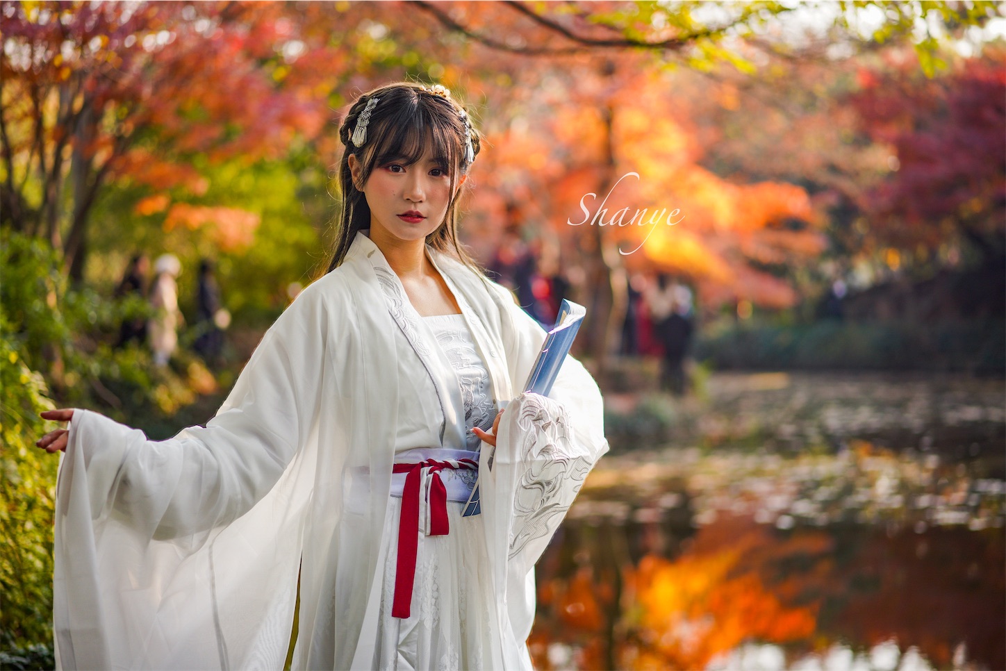 f:id:shan1tian2:20191208220818j:image