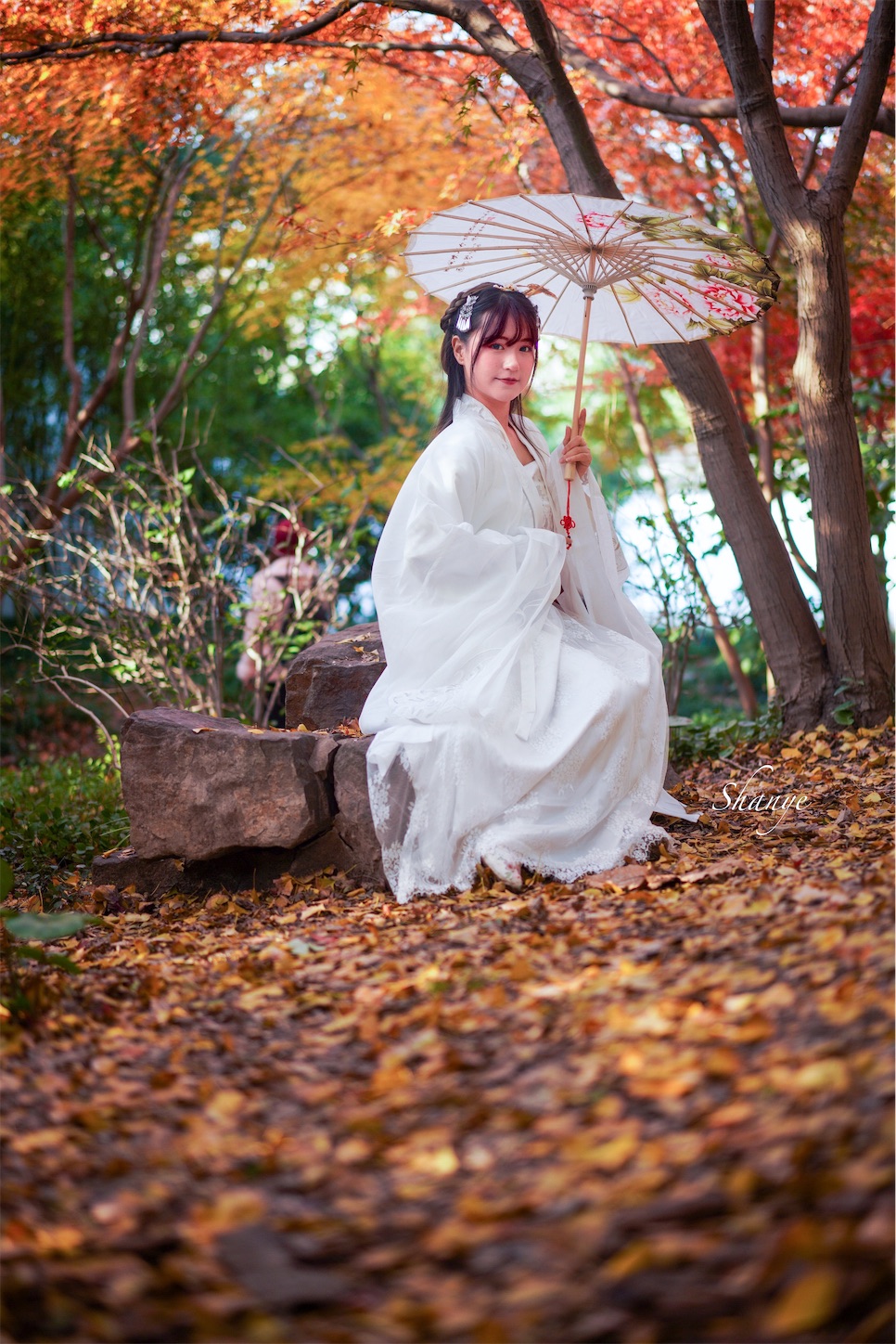 f:id:shan1tian2:20191208220834j:image