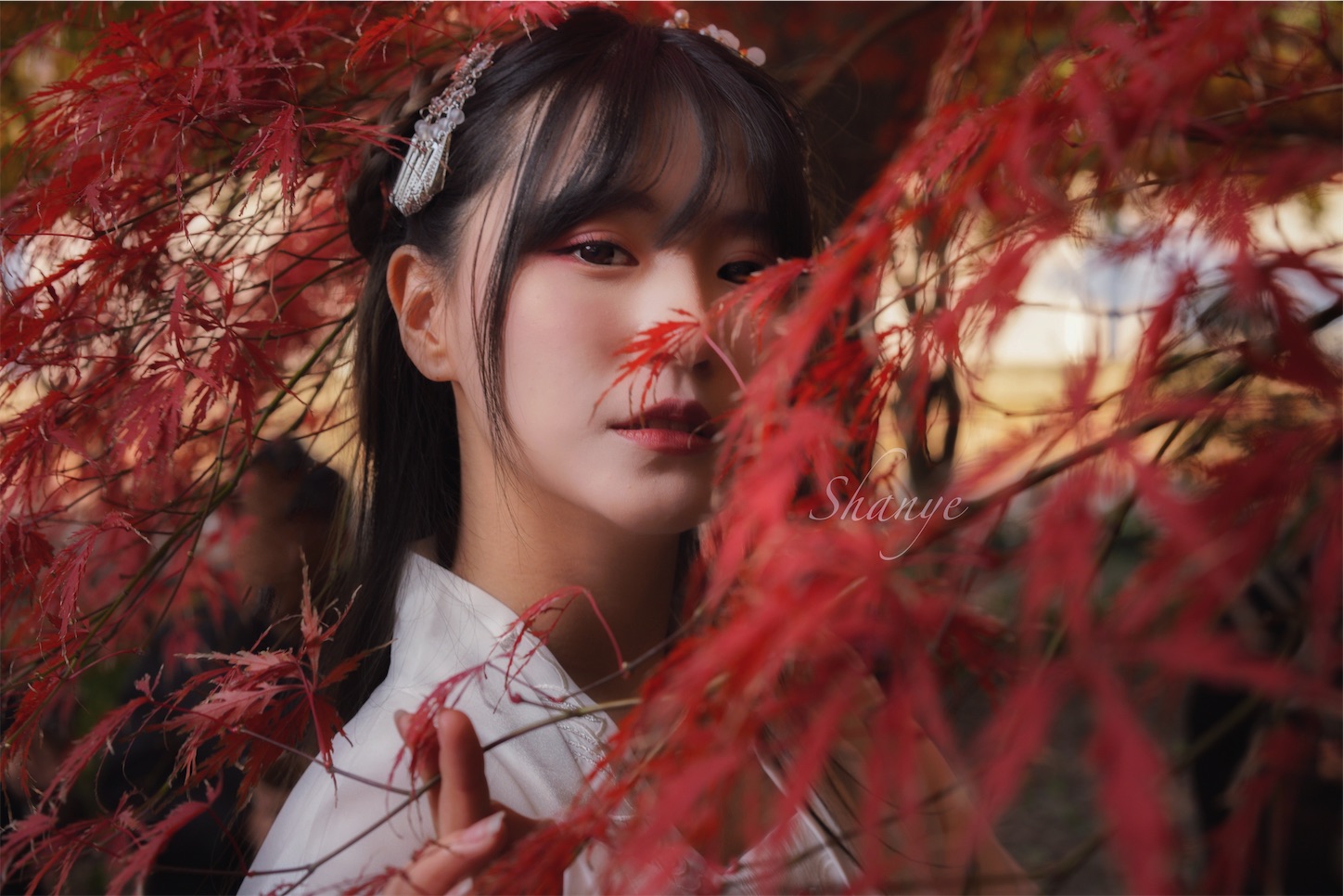 f:id:shan1tian2:20191208220841j:image