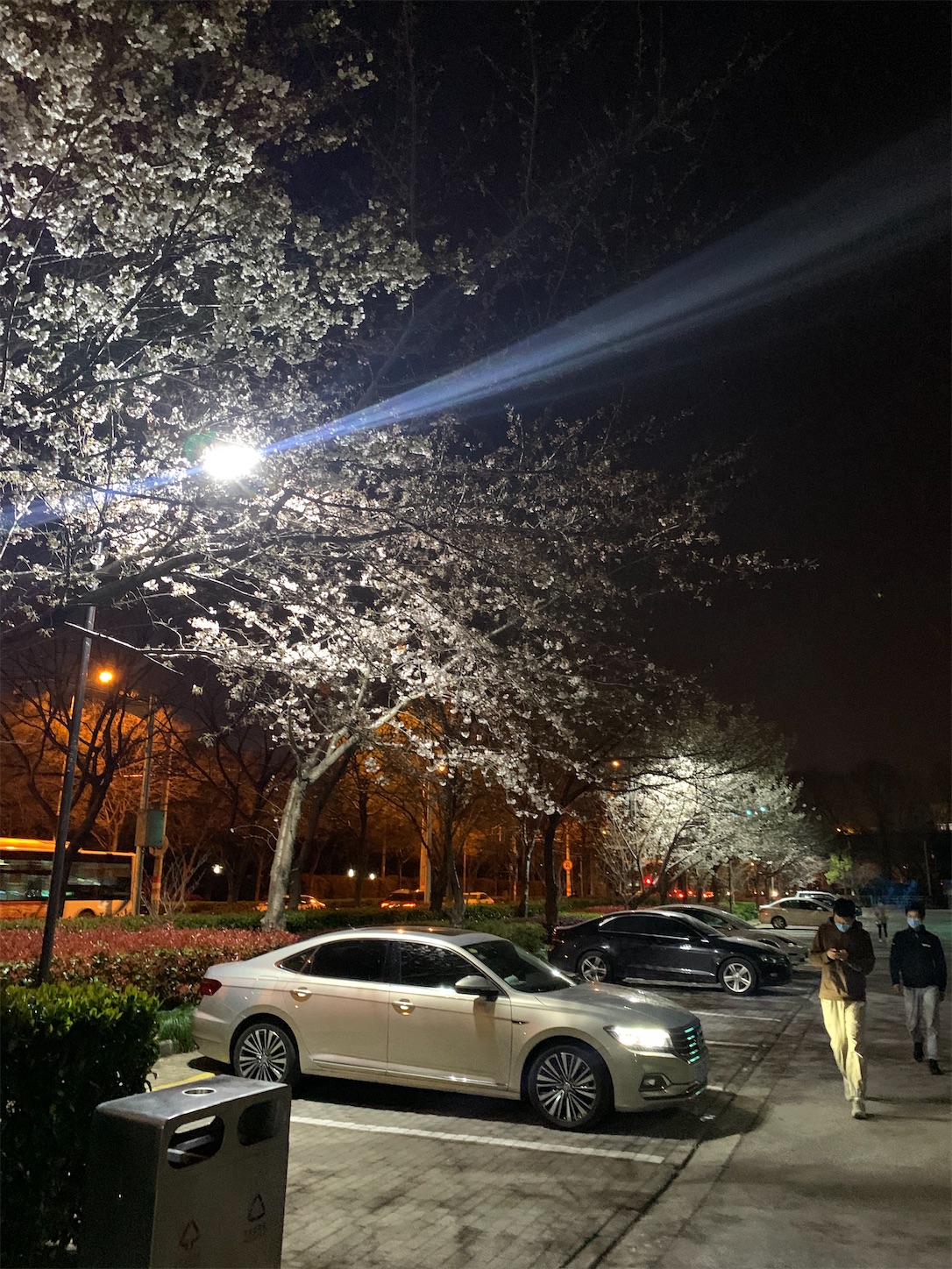 f:id:shan1tian2:20200322214415j:image f:id:shan1tian2:20200322214415j:image