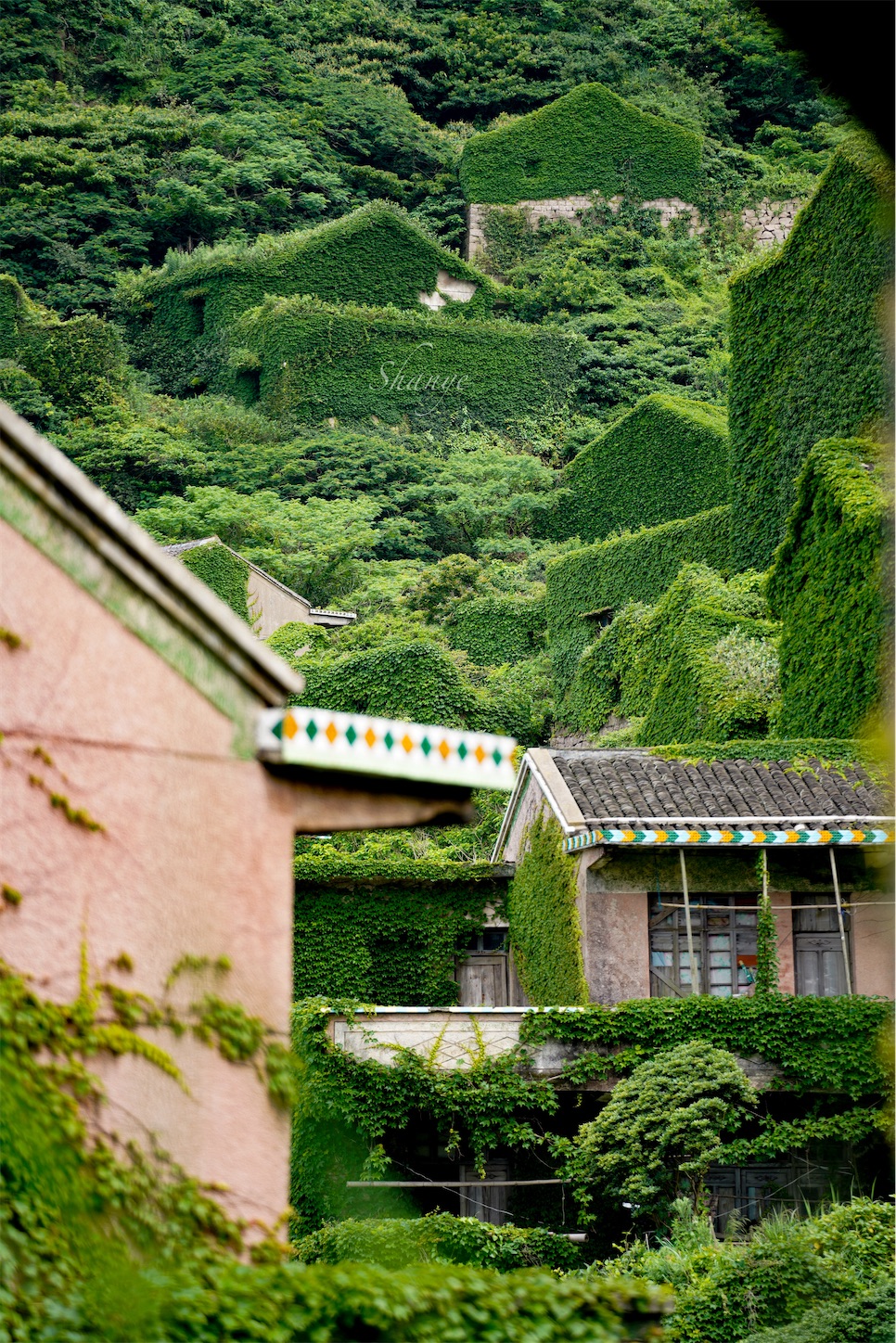 枸杞島後頭湾村（無人村）