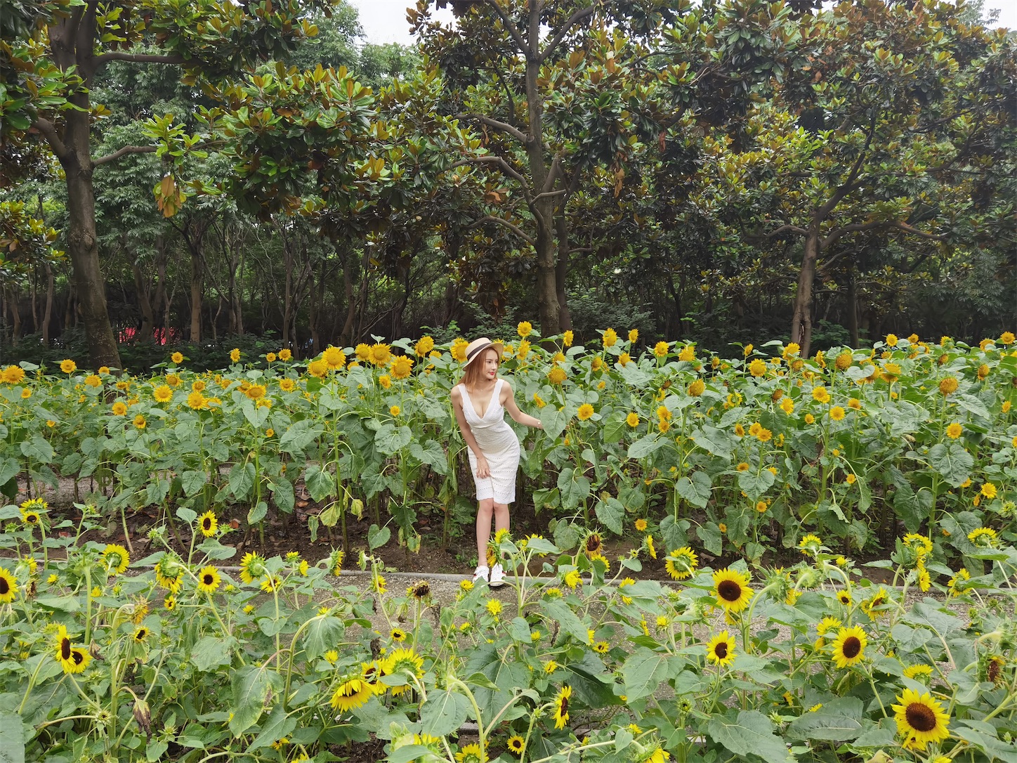 f:id:shan1tian2:20200720102244j:plain