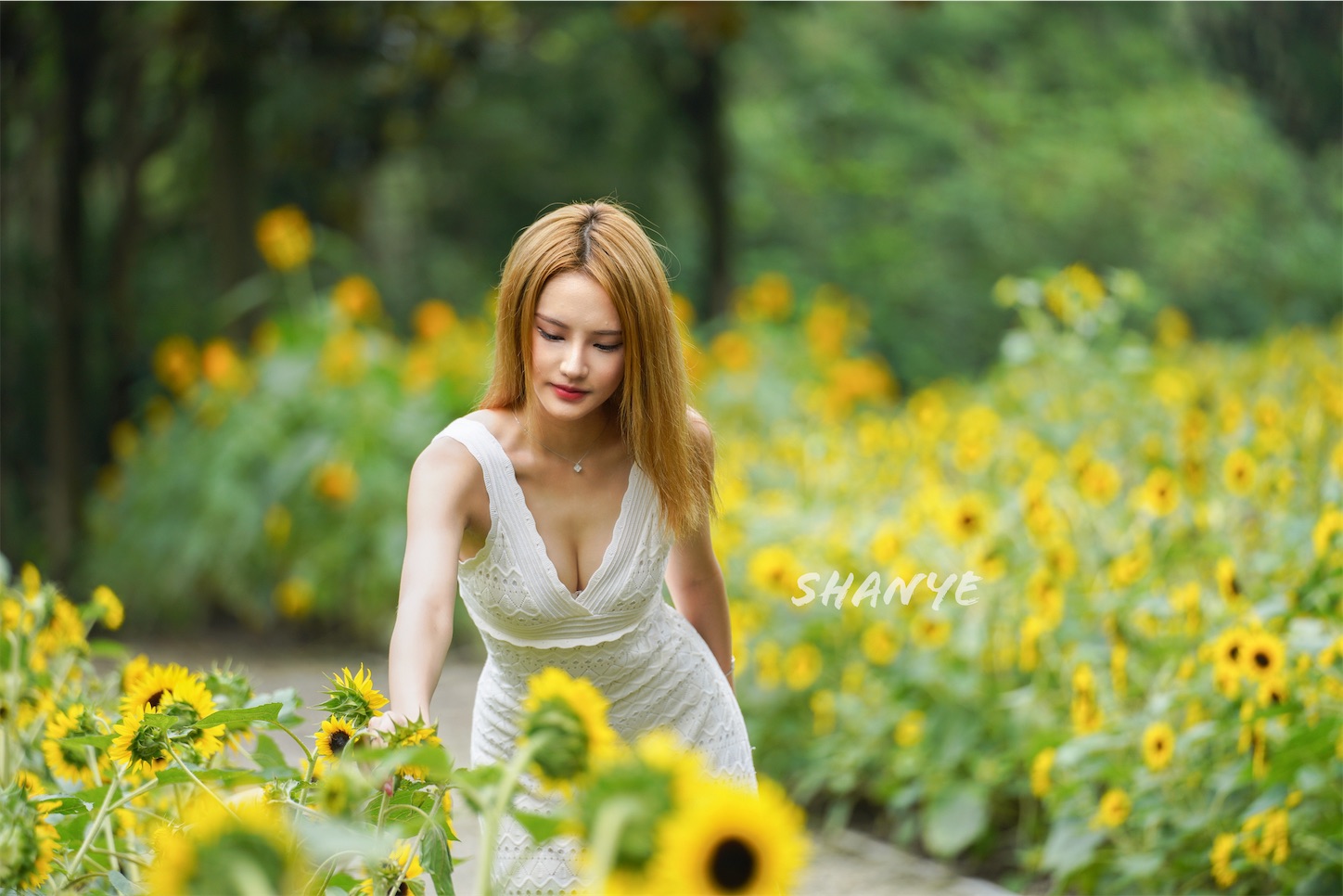 f:id:shan1tian2:20200720102306j:plain