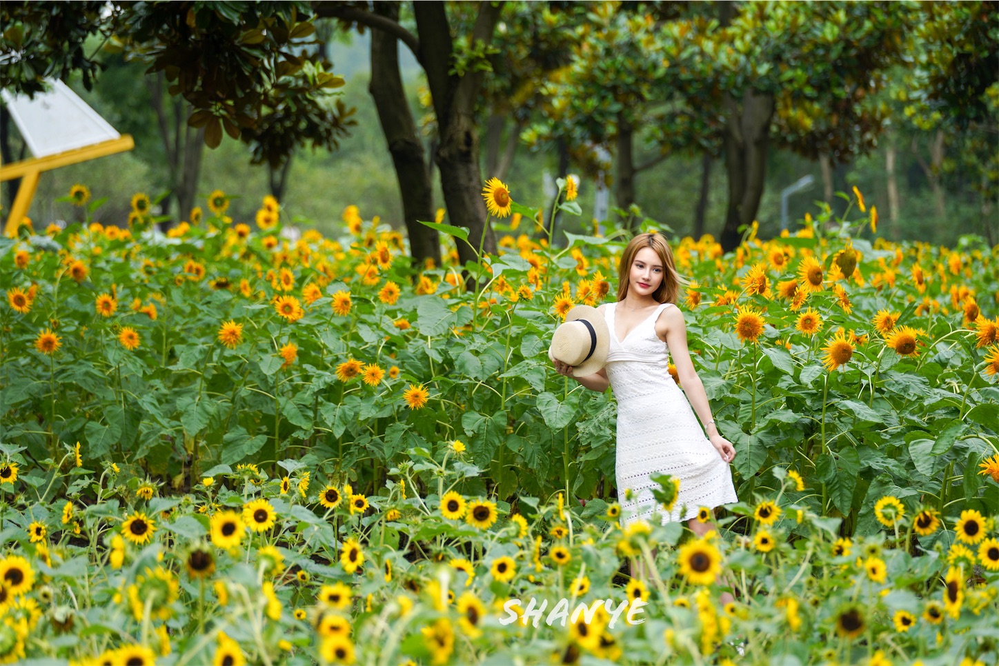 f:id:shan1tian2:20200720102543j:plain