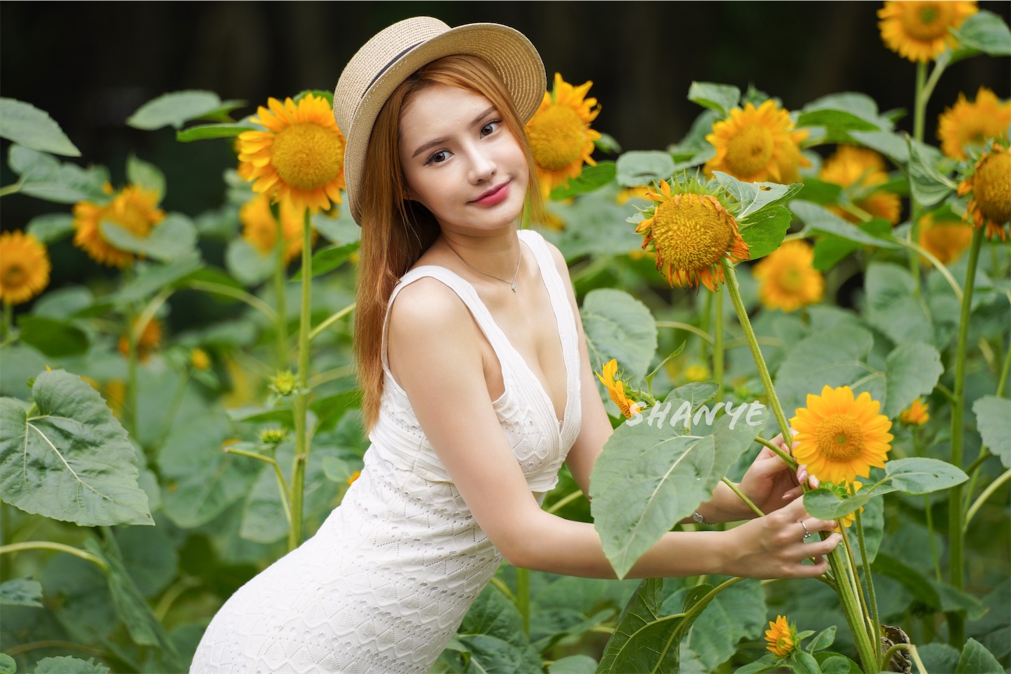 f:id:shan1tian2:20200720102546j:plain