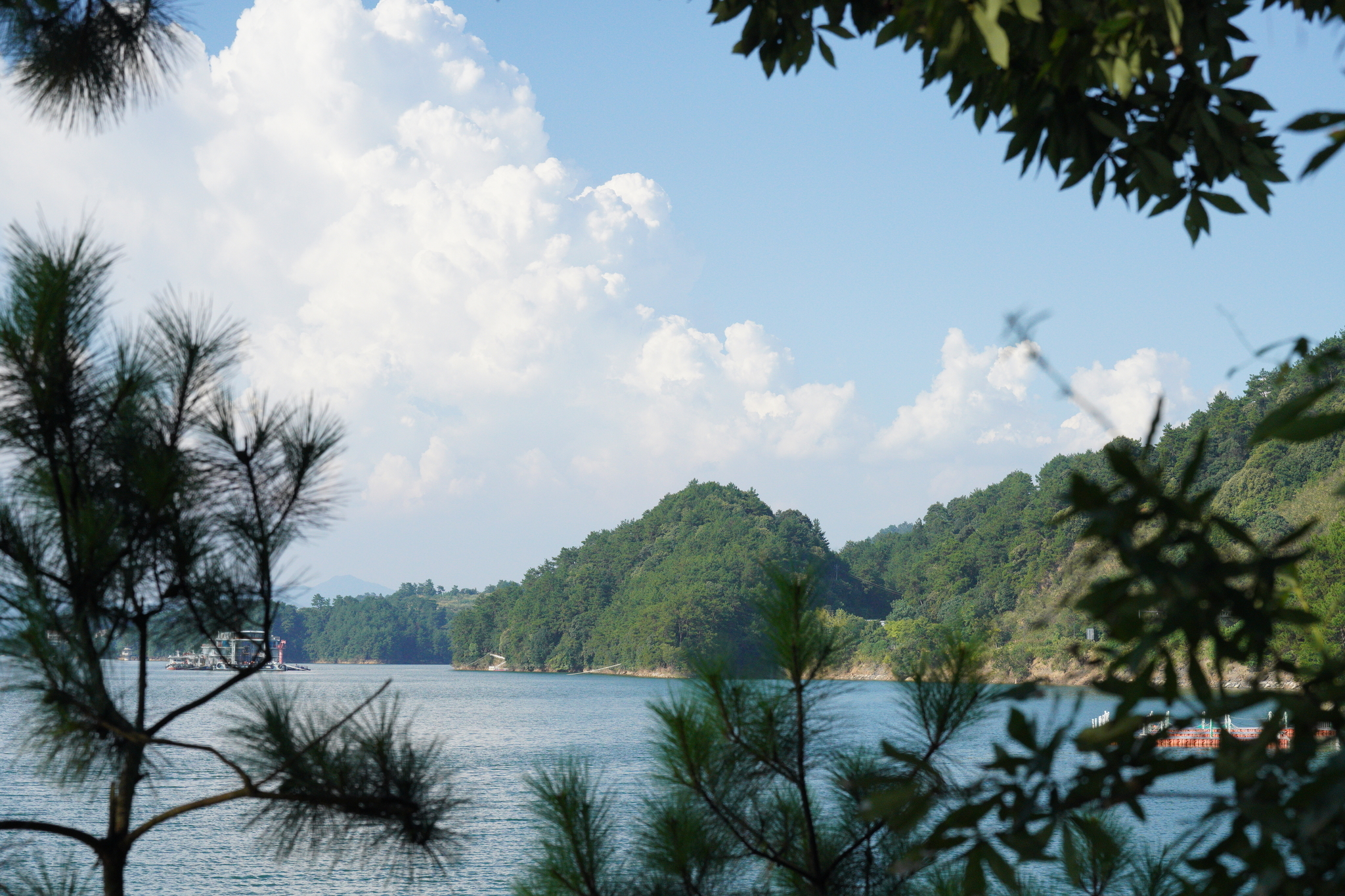 f:id:shan1tian2:20200816161124j f:id:shan1tian2:20200816161124j