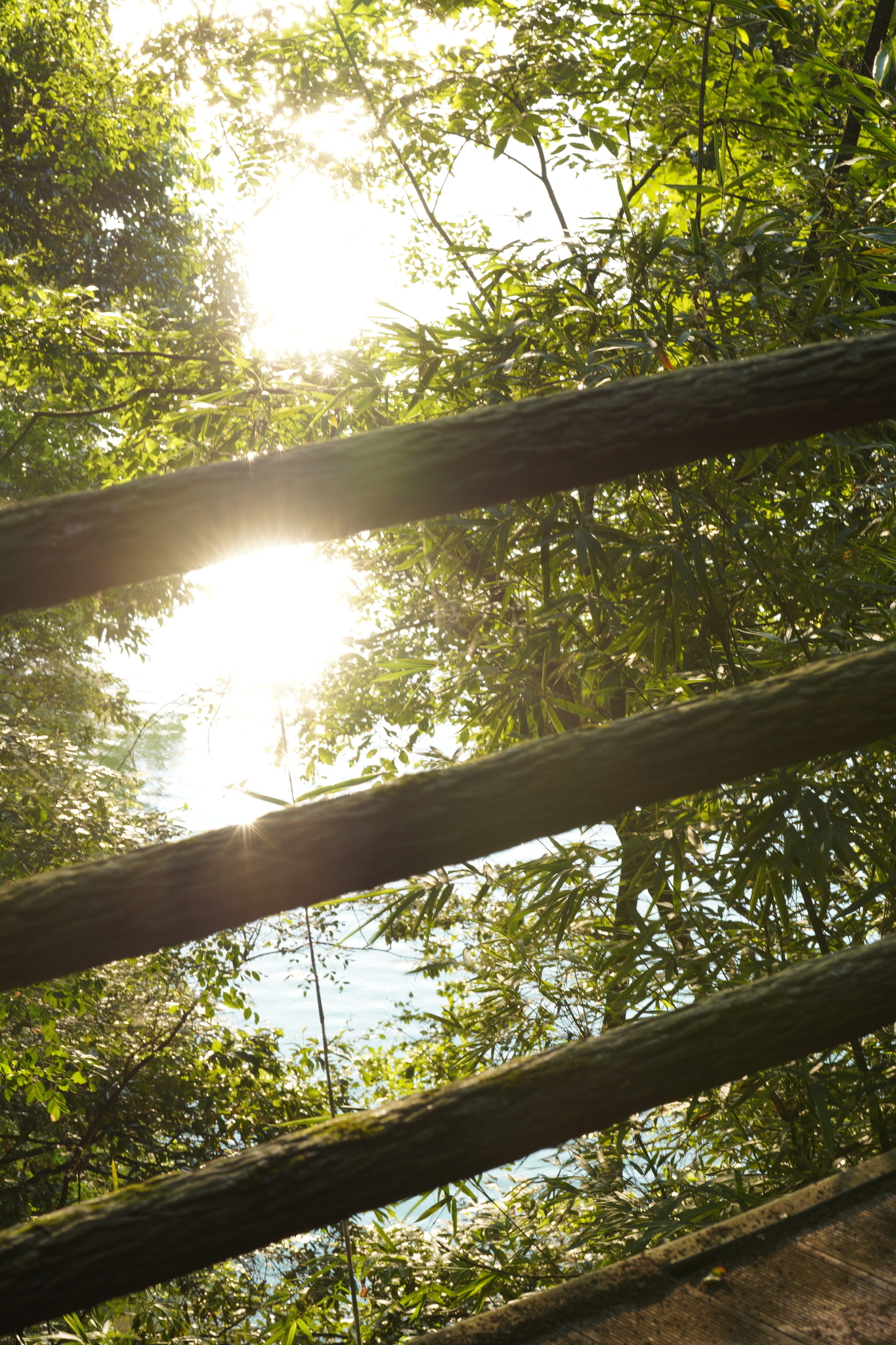 f:id:shan1tian2:20200816172141j:plain f:id:shan1tian2:20200816172141j:plain