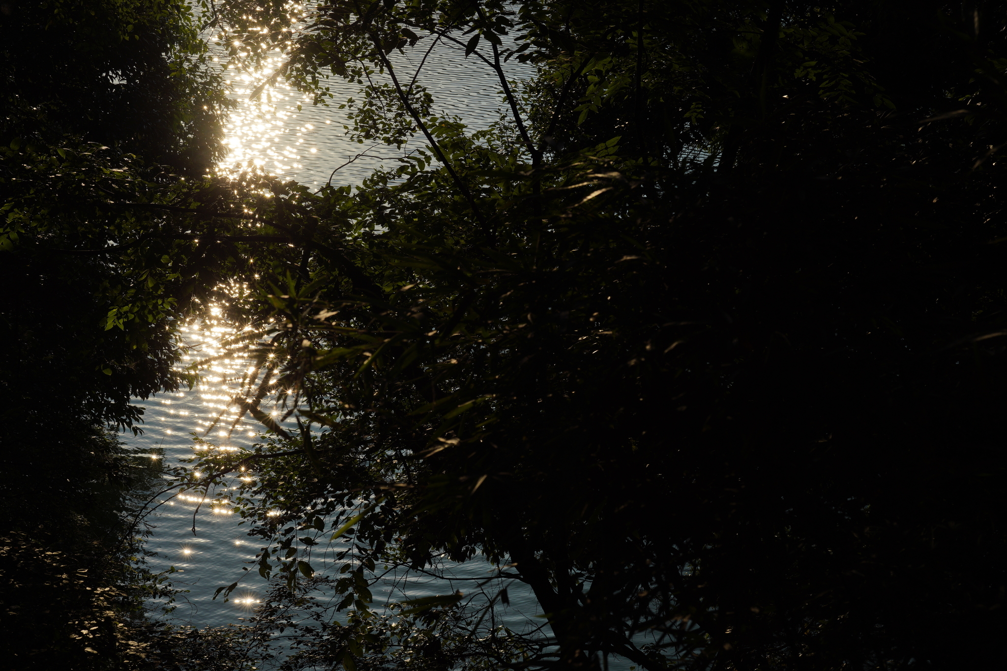 f:id:shan1tian2:20200816172227j:plain f:id:shan1tian2:20200816172227j:plain