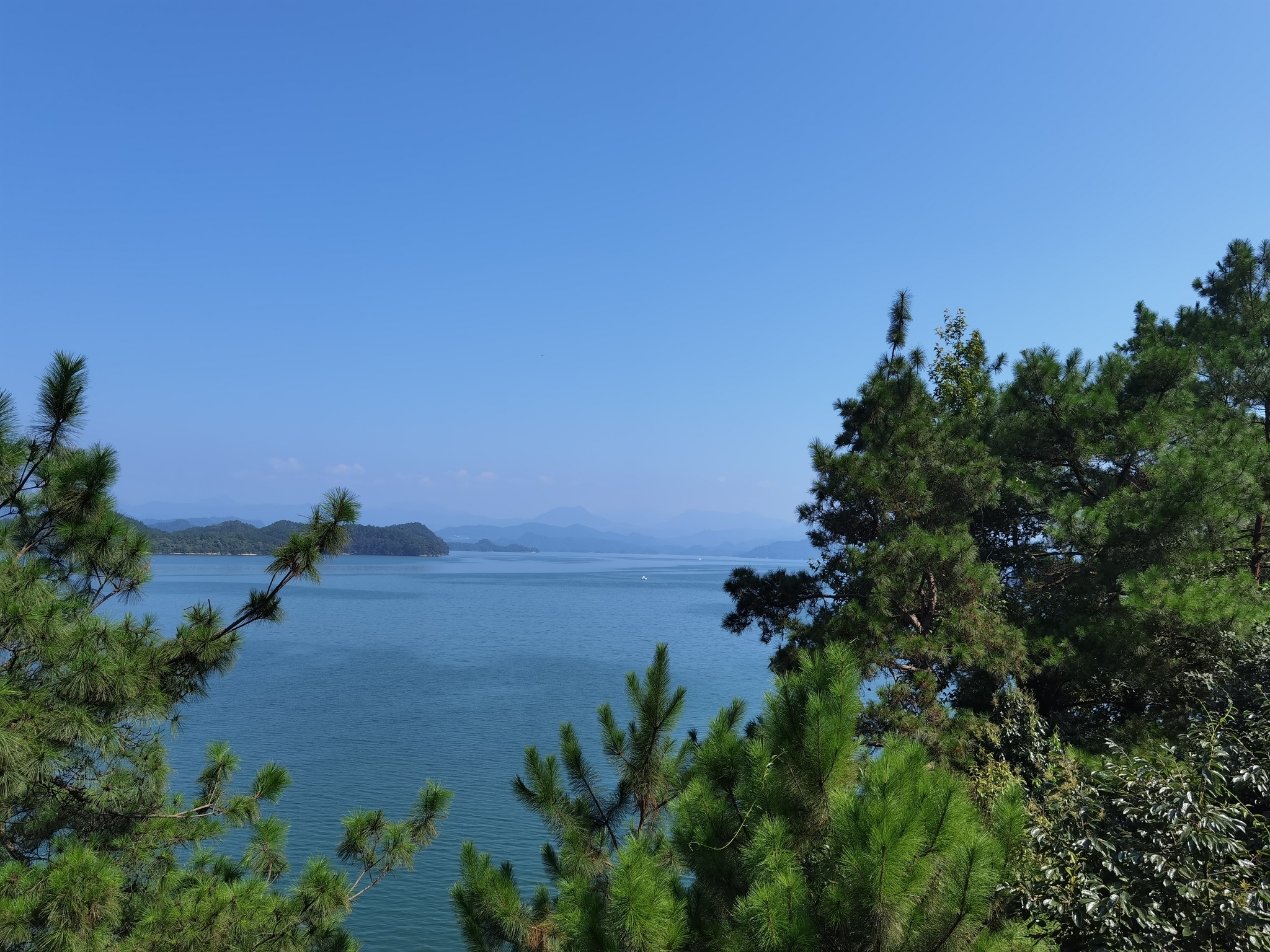 f:id:shan1tian2:20200817094308j:plain