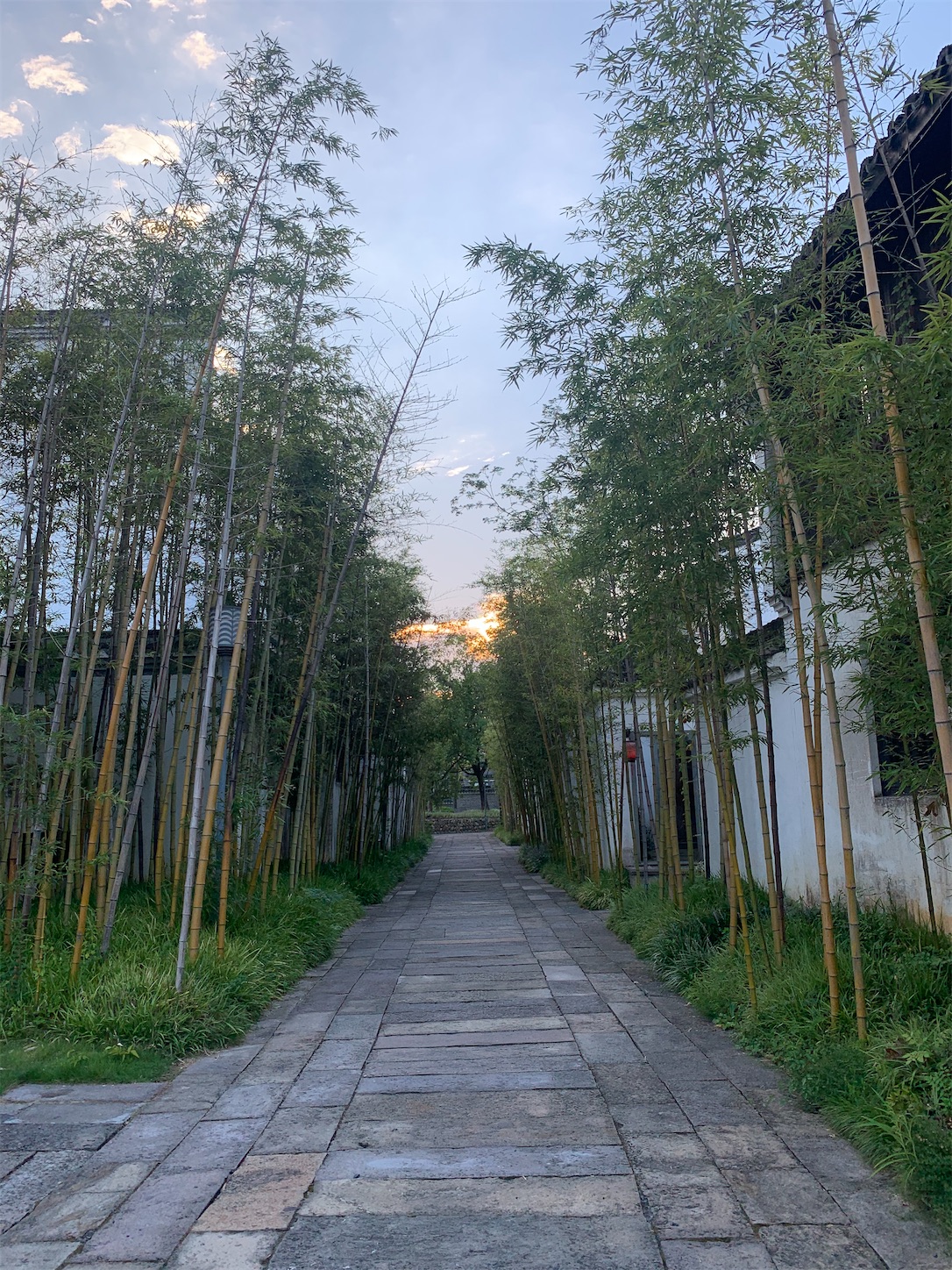 f:id:shan1tian2:20200820194643j:plain