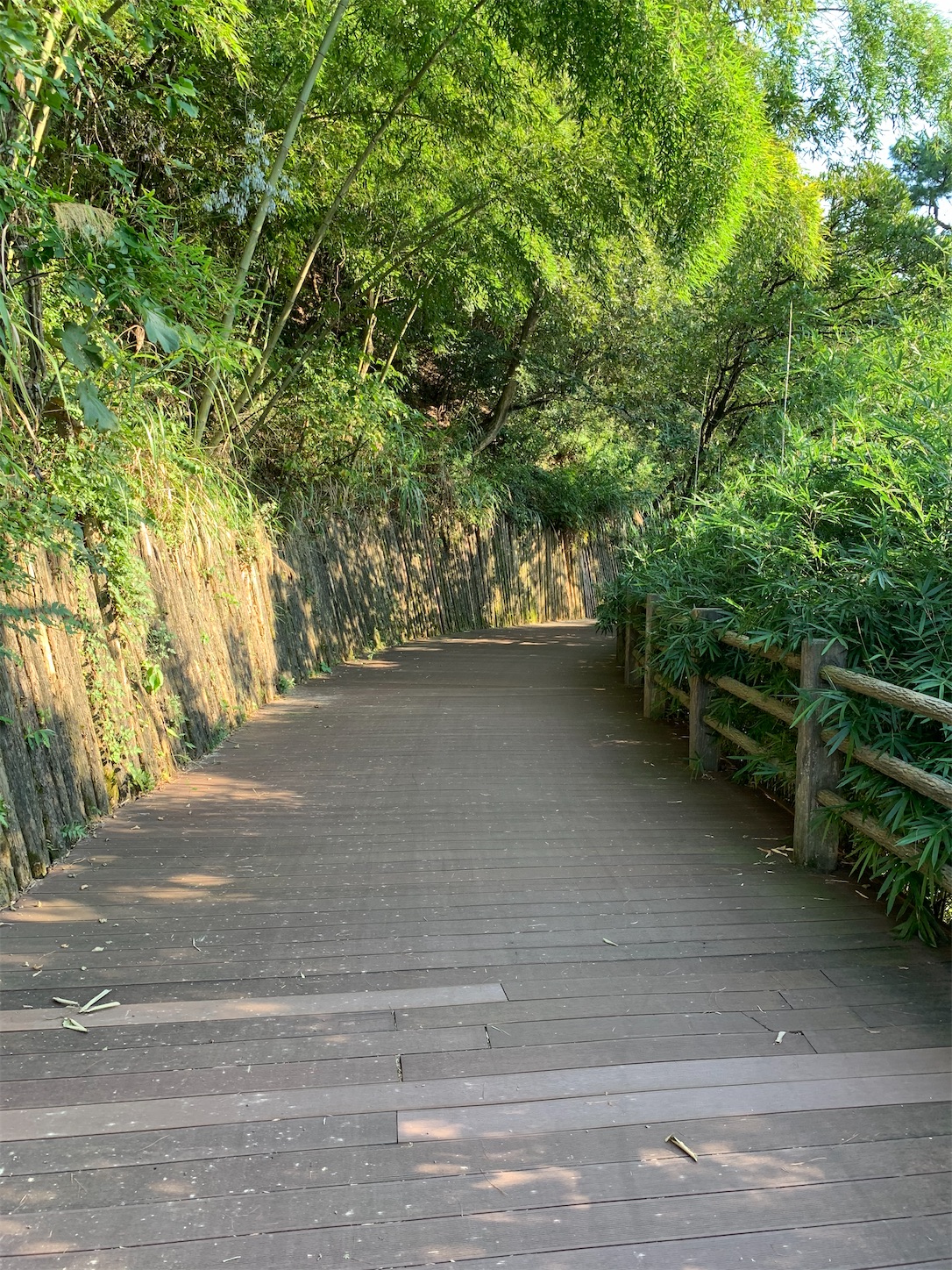 f:id:shan1tian2:20200825130717j:plain f:id:shan1tian2:20200825130717j:plain