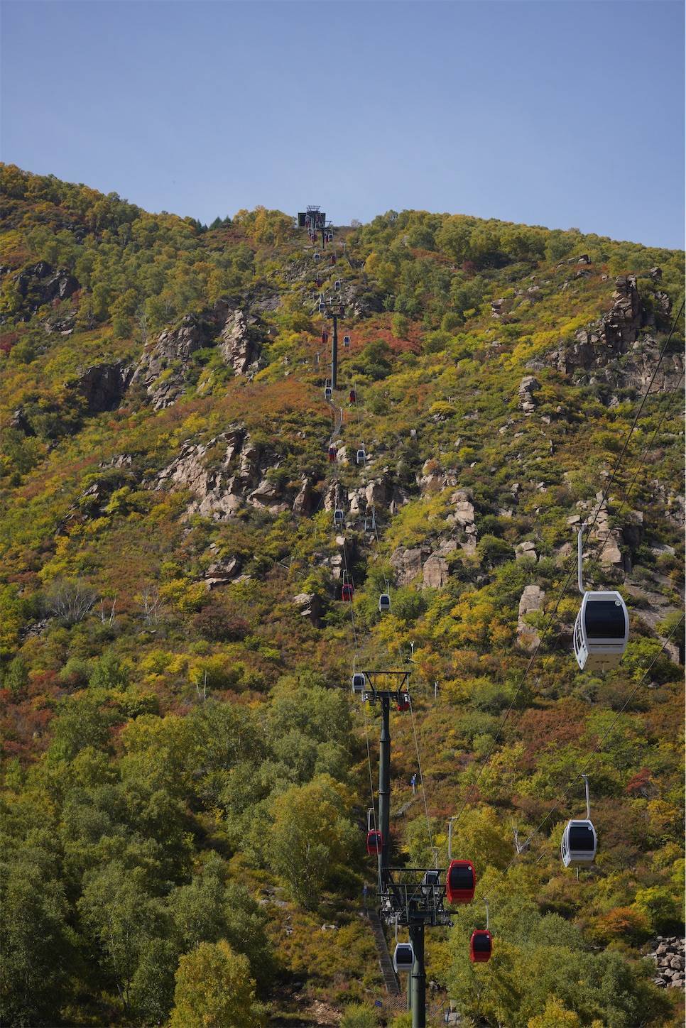 f:id:shan1tian2:20200929221642j:plain f:id:shan1tian2:20200929221642j:plain