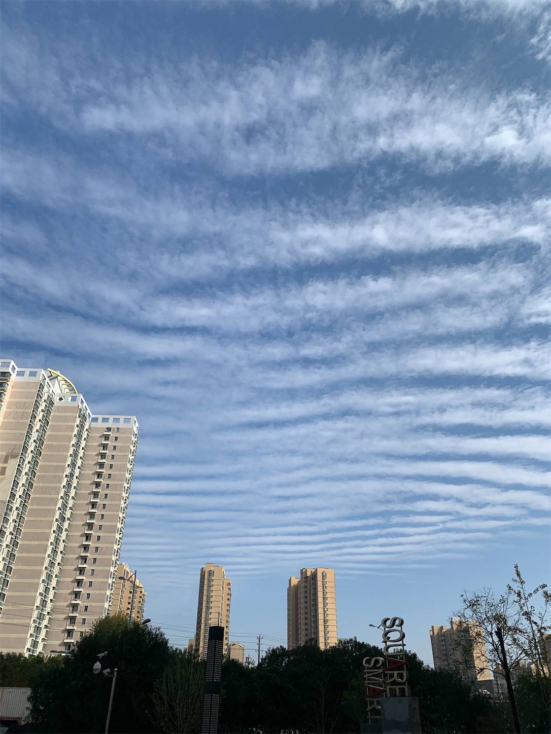 f:id:shan1tian2:20201202100356j:plain