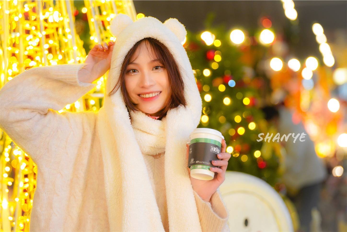 f:id:shan1tian2:20201217103055j:plain