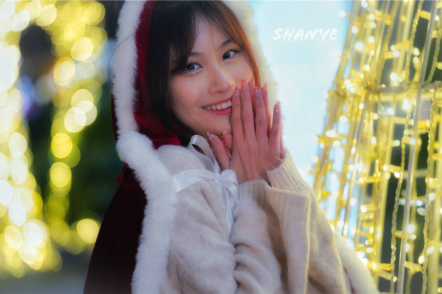 f:id:shan1tian2:20201217103127j:plain