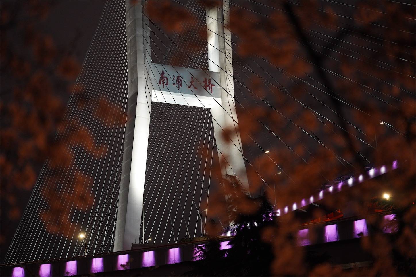 上海南浦大橋夜桜