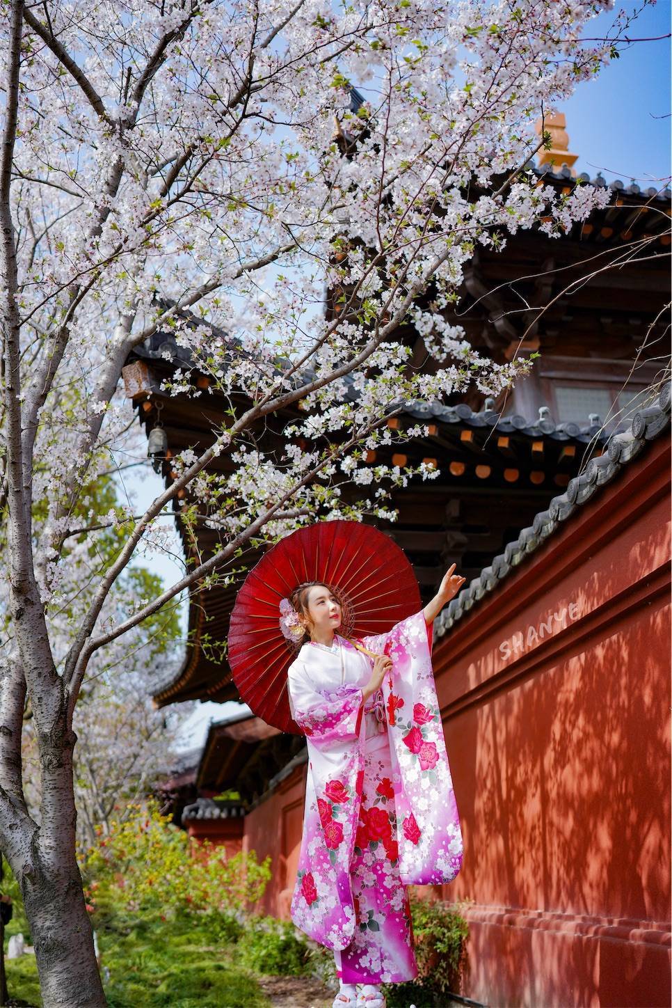 上海桜ポートレート,振り袖,和服,广富林,FE35mmF1.4GM