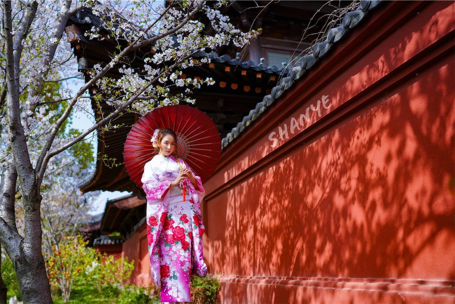 上海,桜ポートレート,振り袖,和服,广富林,FE35mmF1.4GM