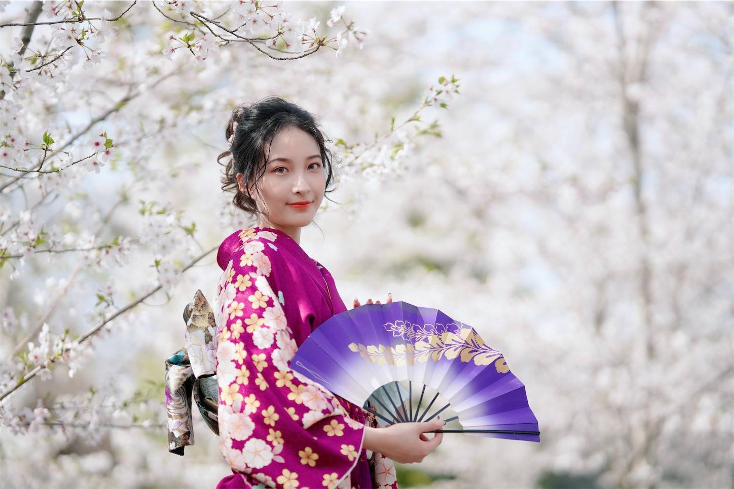 上海桜ポートレート,振り袖,和服