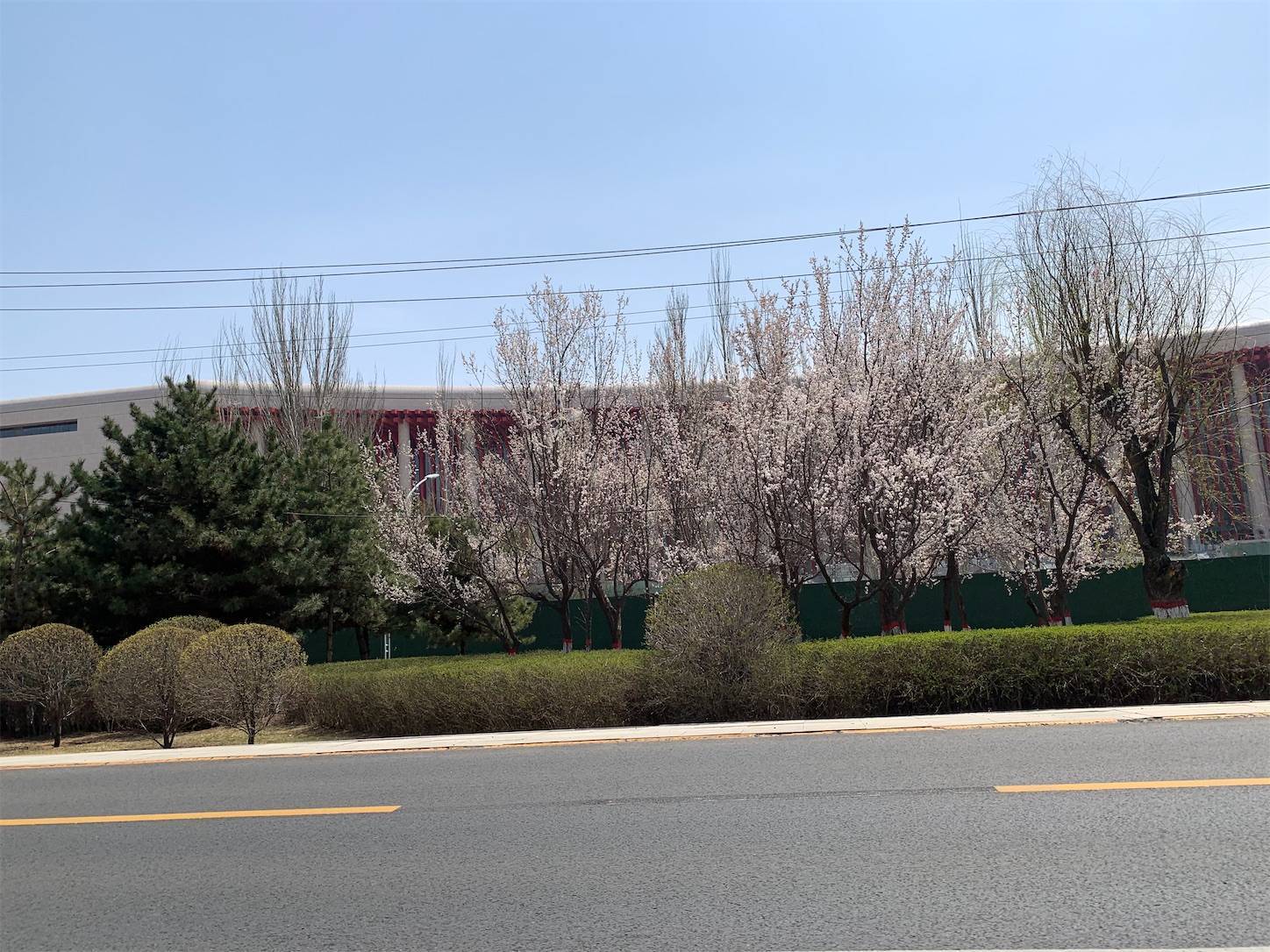 f:id:shan1tian2:20210421094900j:plain