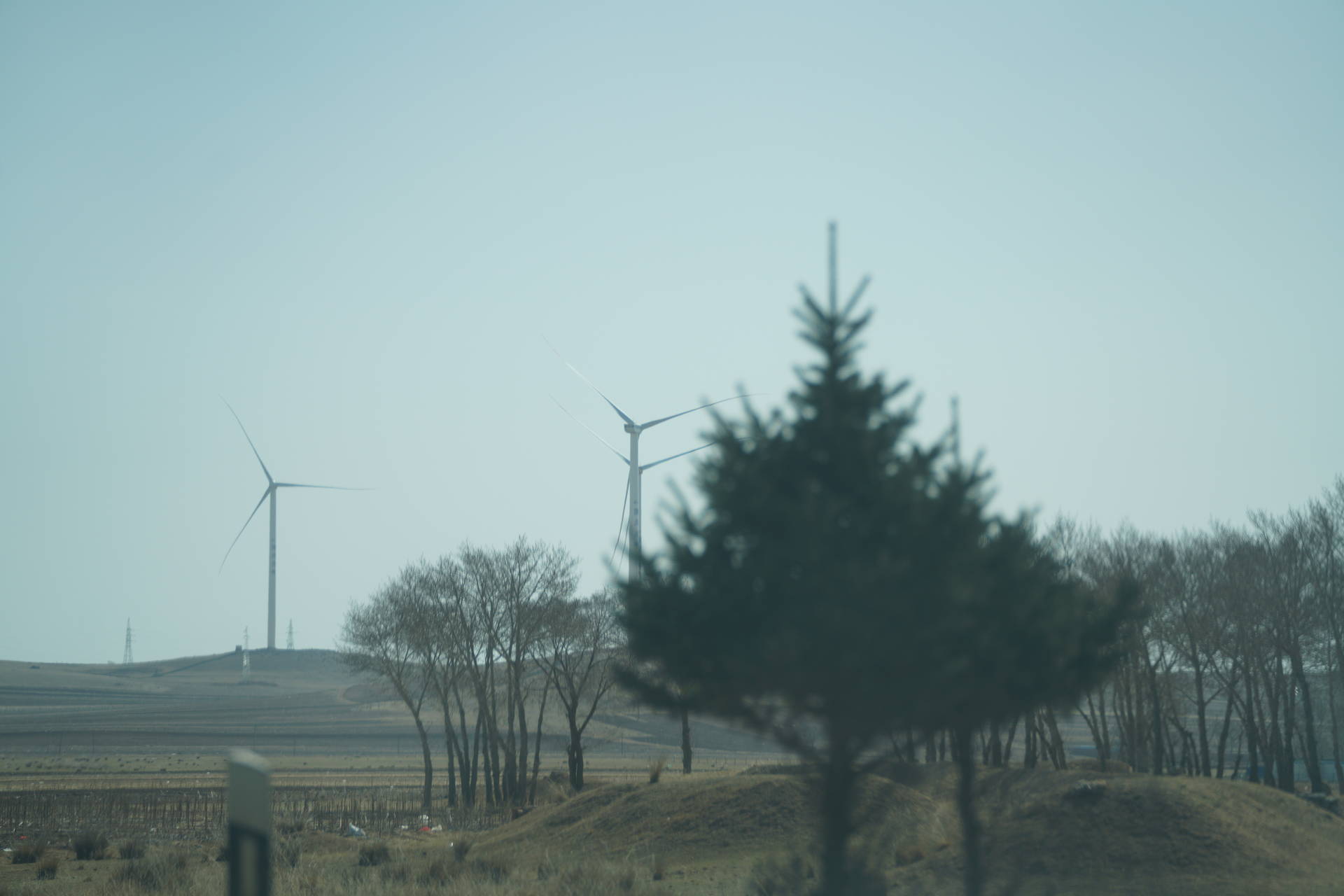 f:id:shan1tian2:20210422095108j:plain