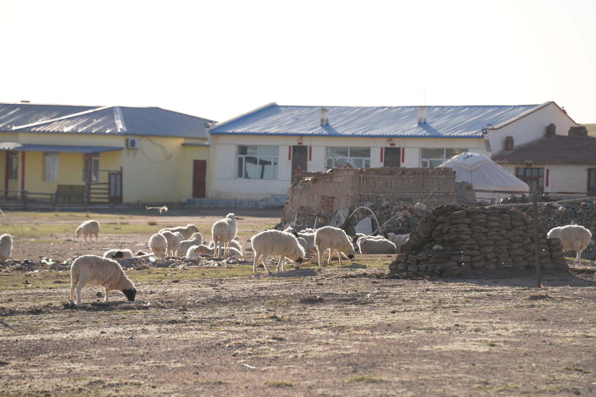 f:id:shan1tian2:20210422095226j:plain