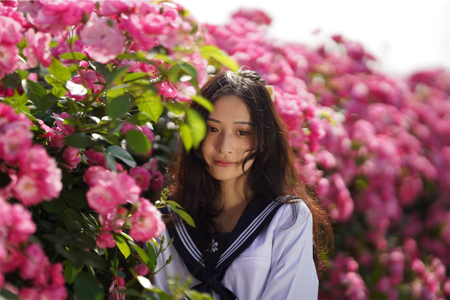 f:id:shan1tian2:20210510102723j:plain