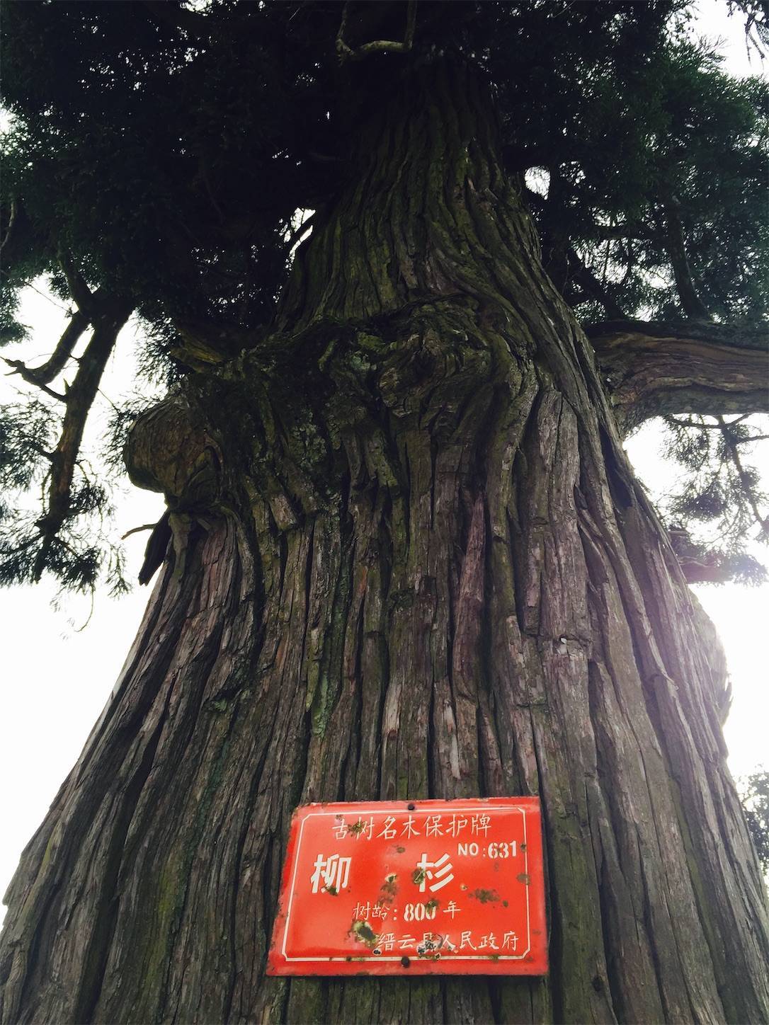 f:id:shan1tian2:20210523212728j:plain