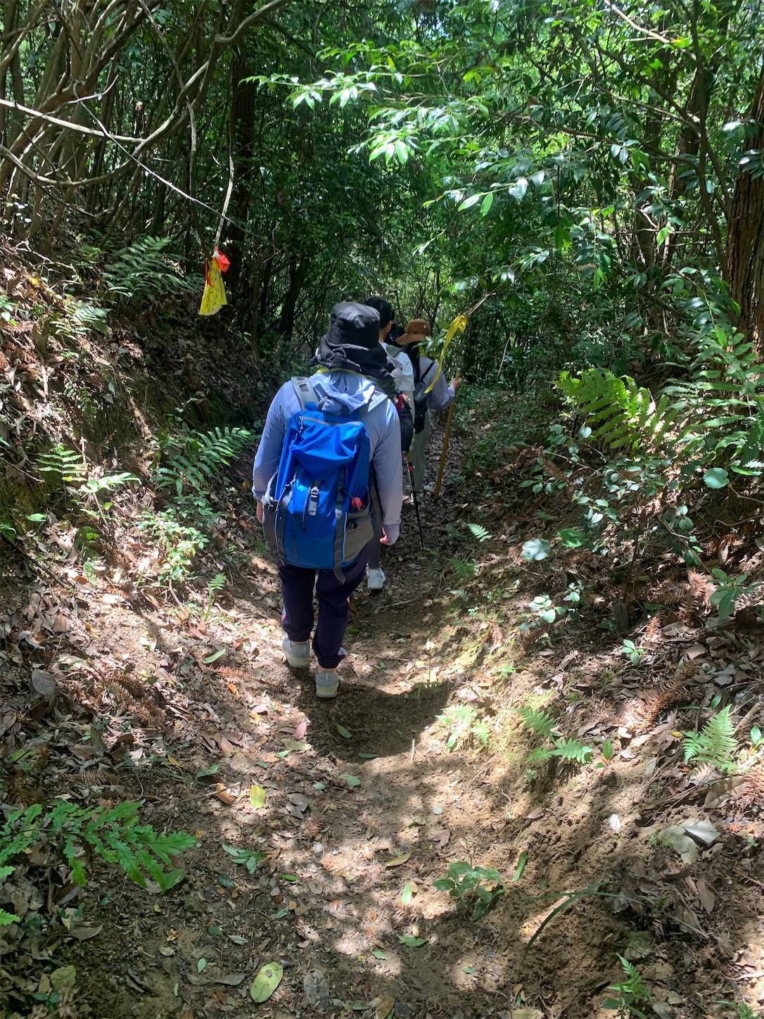 f:id:shan1tian2:20210523212822j:plain