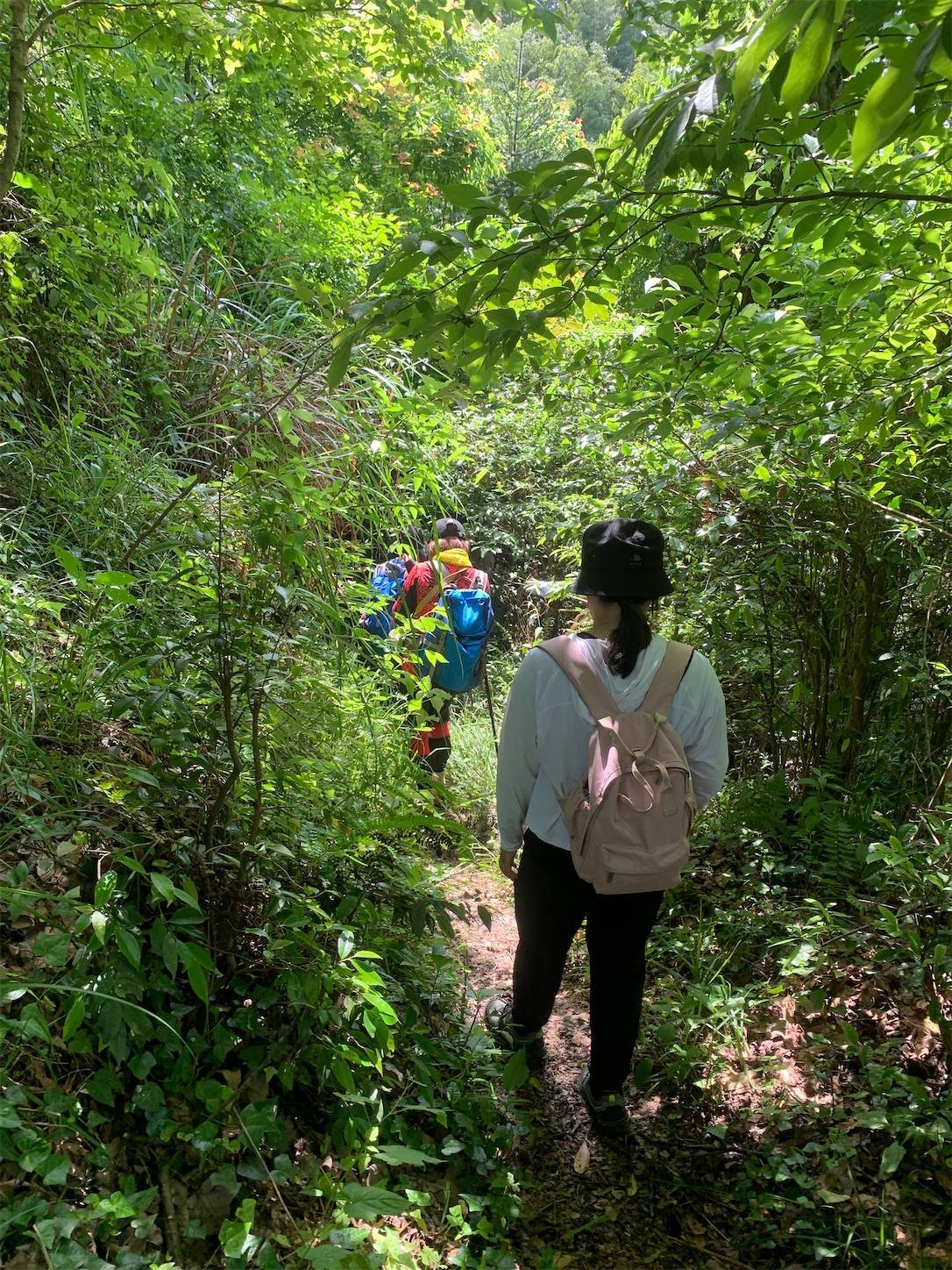 f:id:shan1tian2:20210523212834j:plain