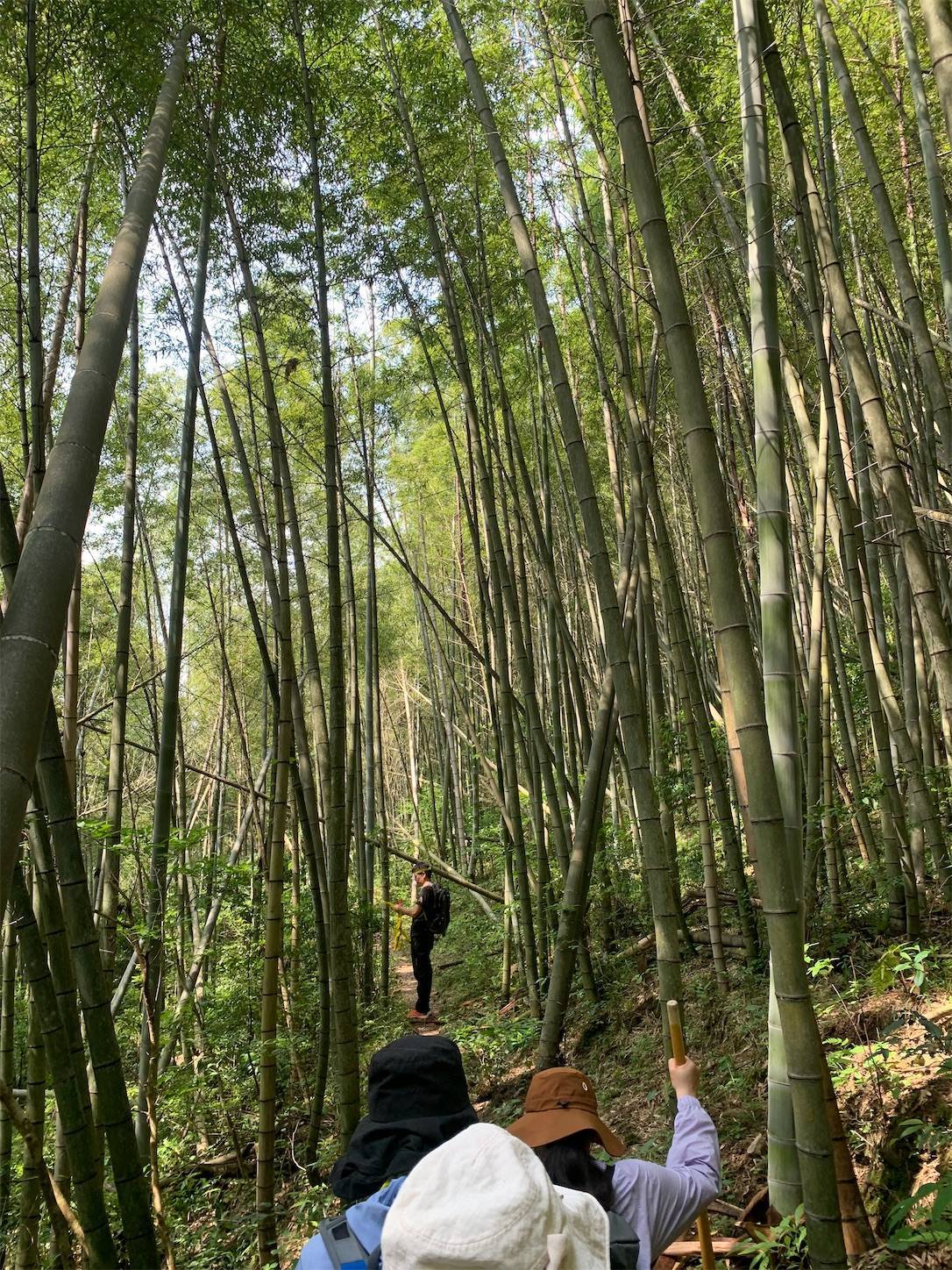 f:id:shan1tian2:20210523212850j:plain