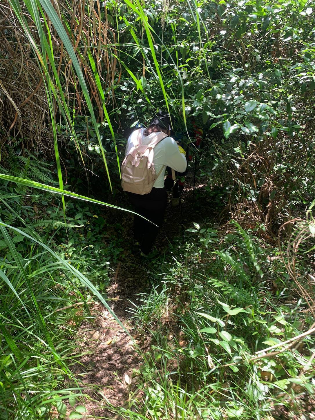 f:id:shan1tian2:20210523212858j:plain