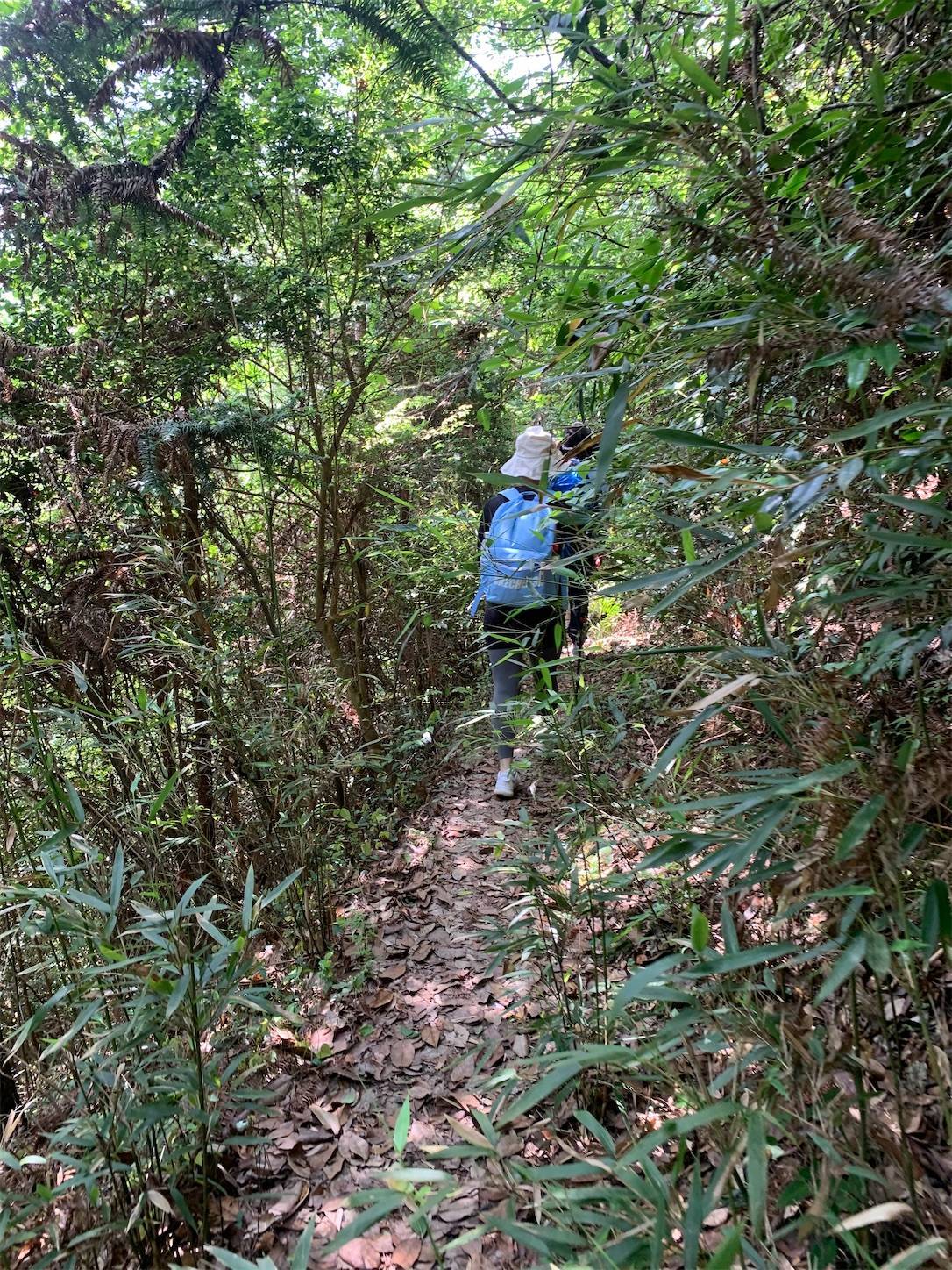 f:id:shan1tian2:20210523212903j:plain